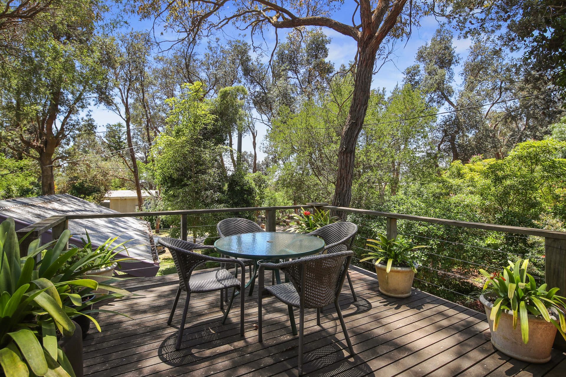 12 Woodland Avenue, Silverleaves VIC 3922, Silverleaves - Thumbnail 4