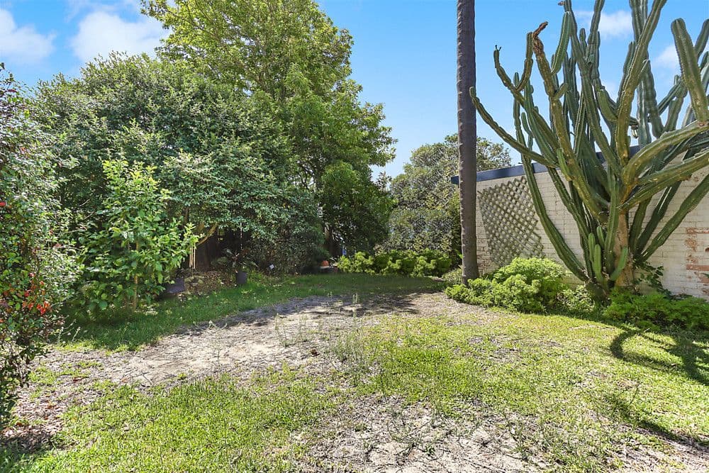 480 Old South Head Road, Rose Bay - Thumbnail 3