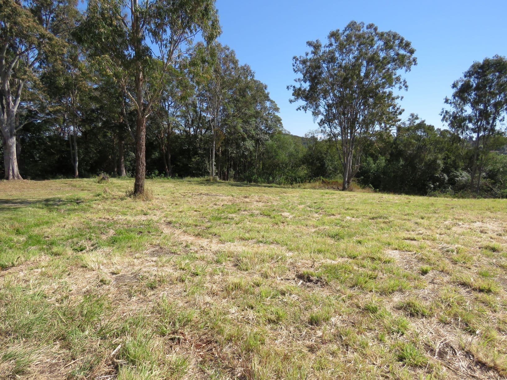 19 Highfield Terrace, Goonellabah NSW 2480, Goonellabah - Thumbnail 2