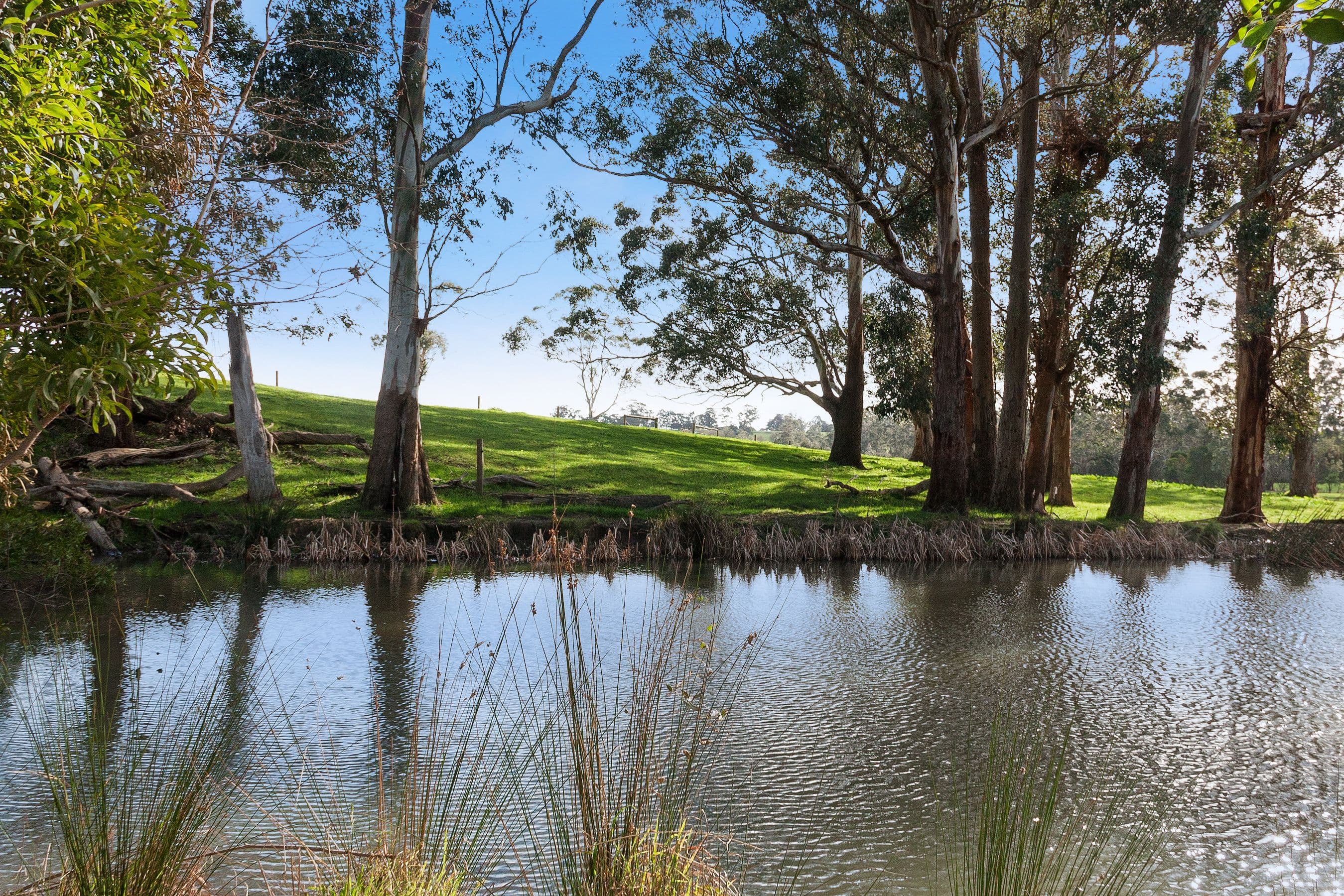 Drouin South VIC 3818, Drouin South - Thumbnail 7