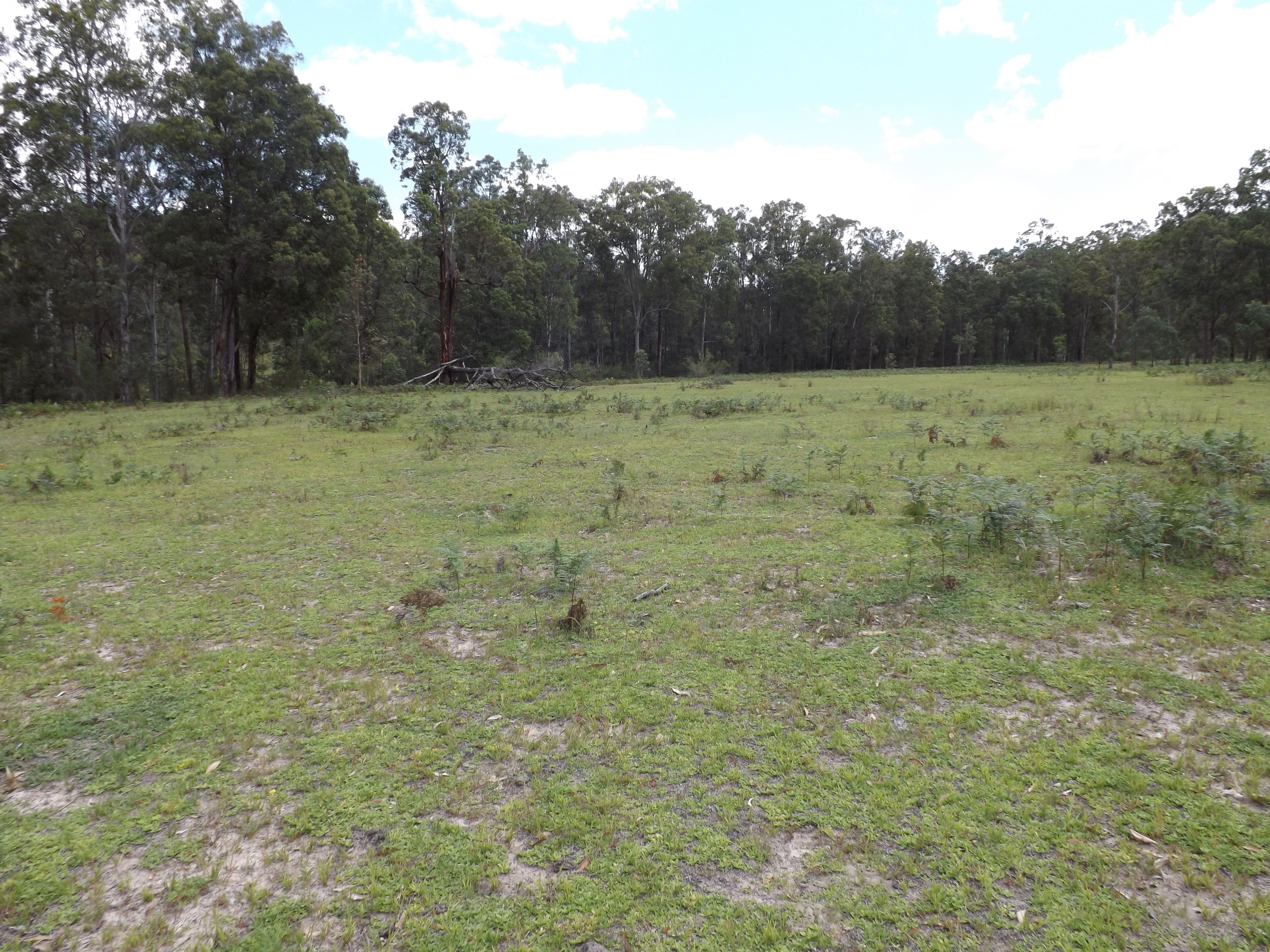 Garland Valley NSW 2330, Garland Valley - Thumbnail 2