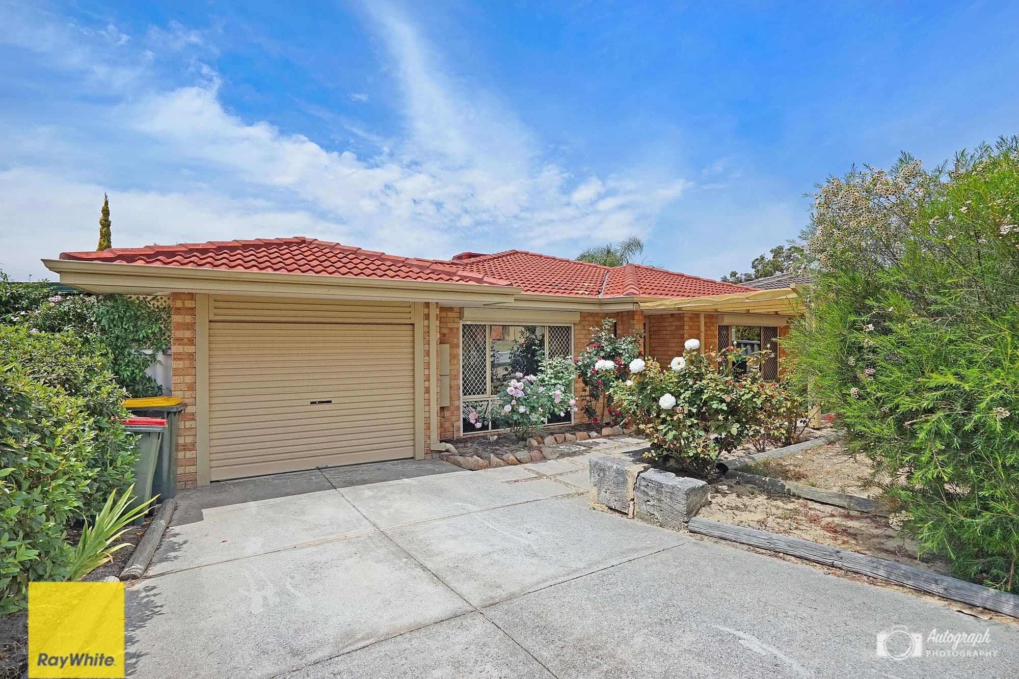 19 Floribunda Gardens, Mirrabooka WA 6061, Mirrabooka - Thumbnail 2