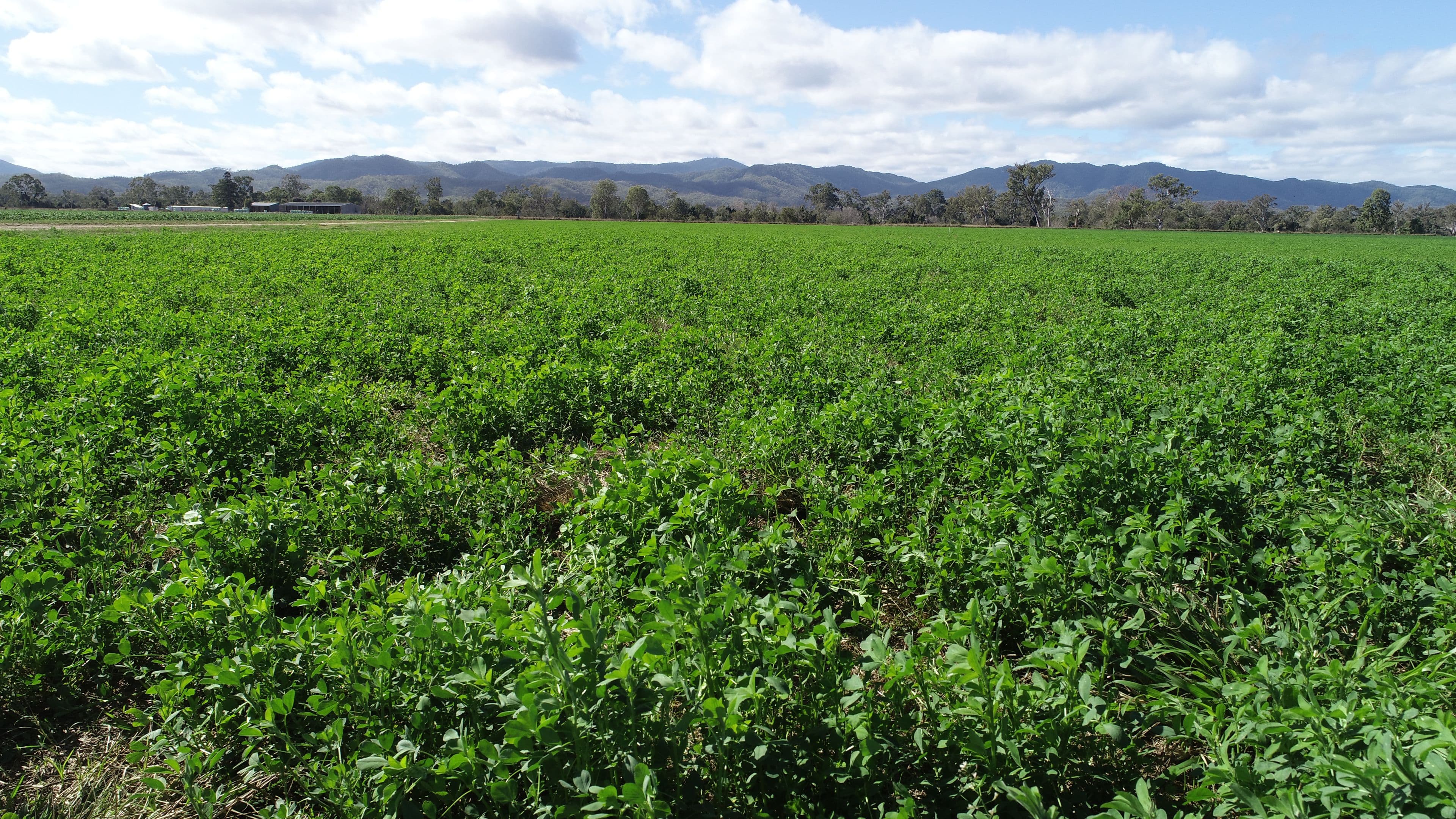 4615 Gladstone Monto Road, Boyne Valley QLD 4680, Boyne Valley - Thumbnail 6