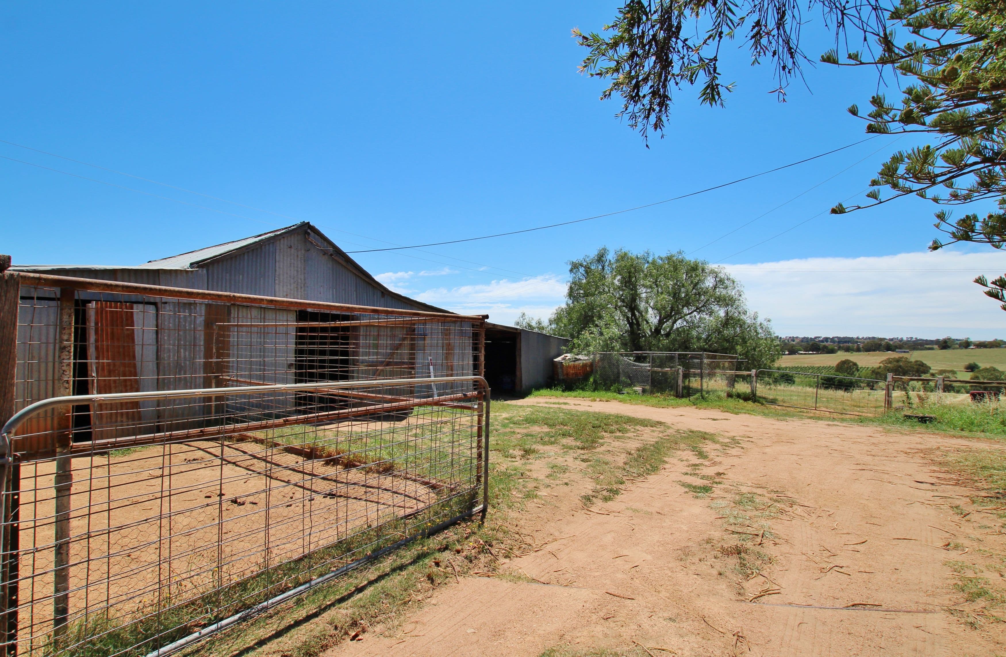 1376 Kingsvale Road, Young - Thumbnail 5