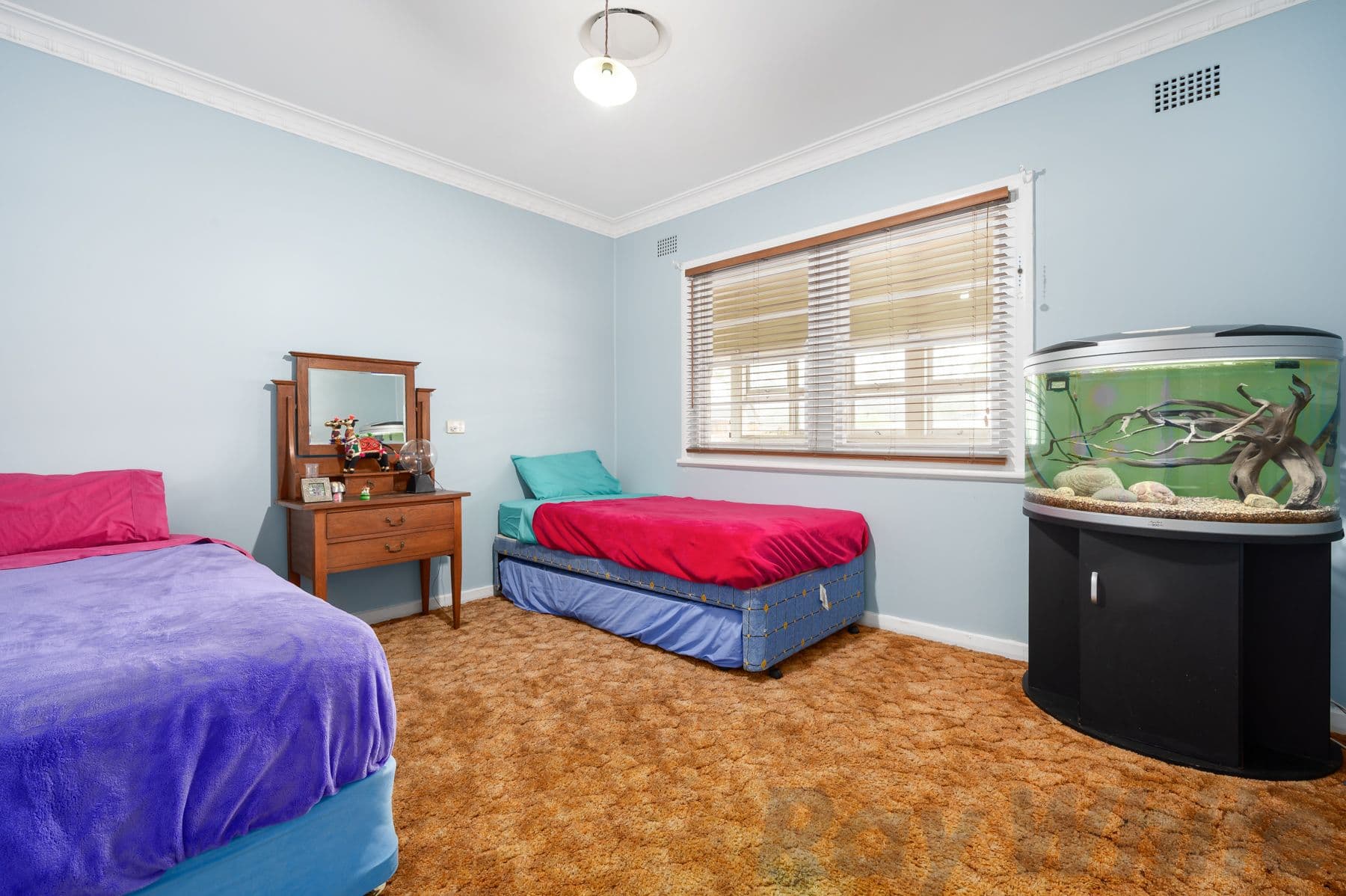 19 Jones Street, Dungog NSW 2420, Dungog - Thumbnail 6