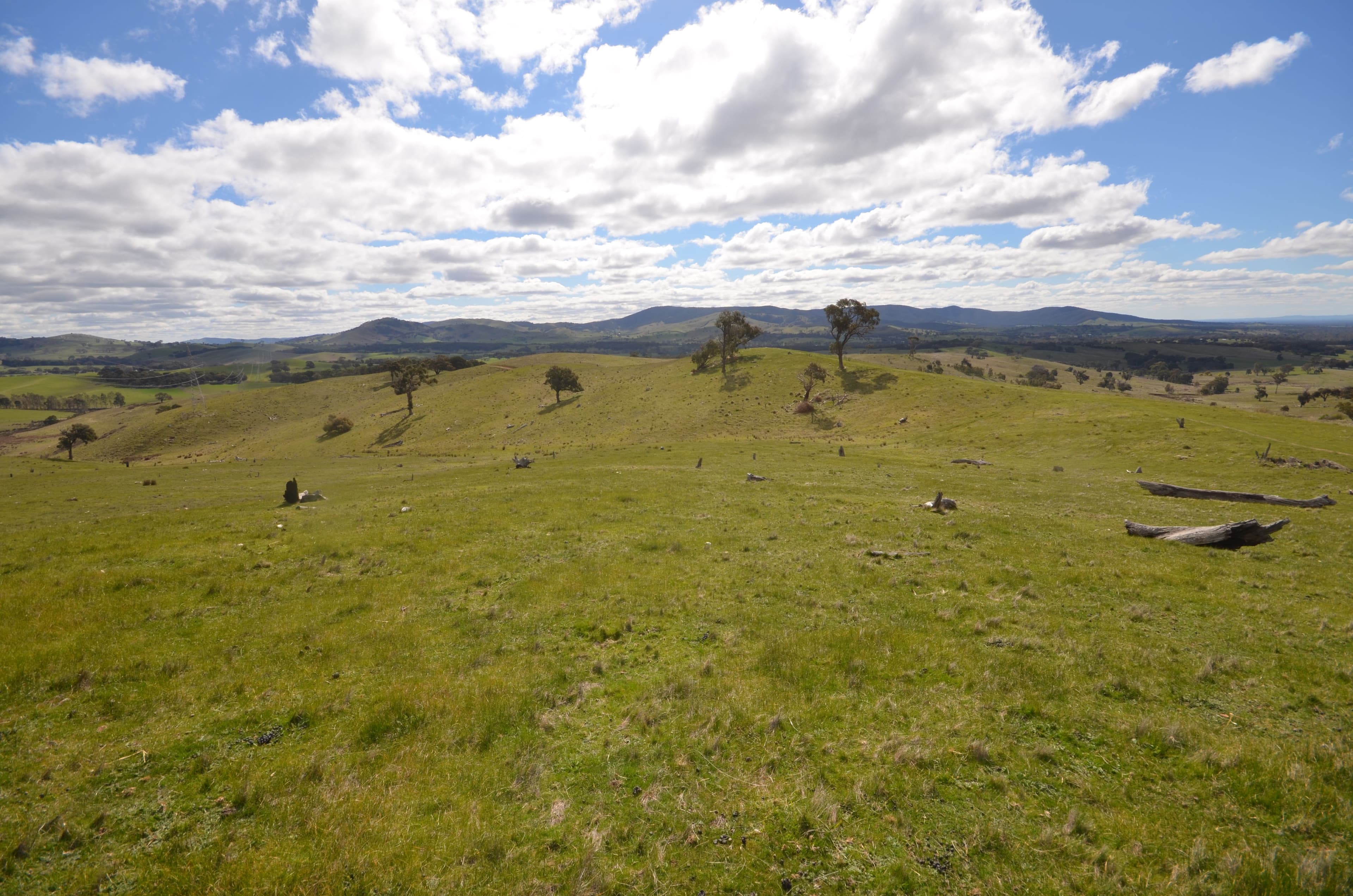 CA 209 Townsing Road, AMPHITHEATRE VIC 3468, Amphitheatre - Thumbnail 6