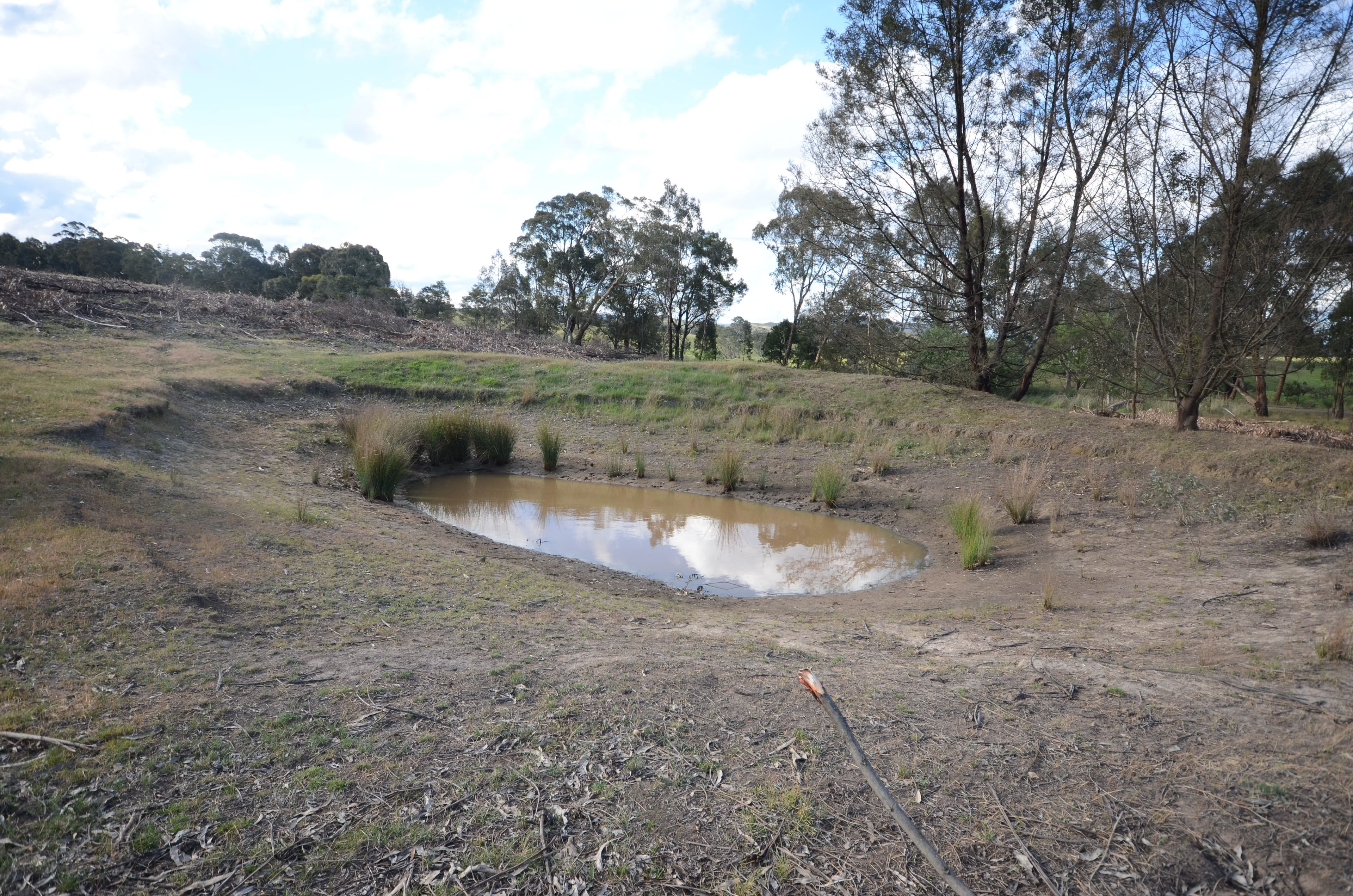 Lot 1 "Cocking C" Mount Lonarch Road, Mount Lonarch VIC 3468, Mount Lonarch - Thumbnail 4