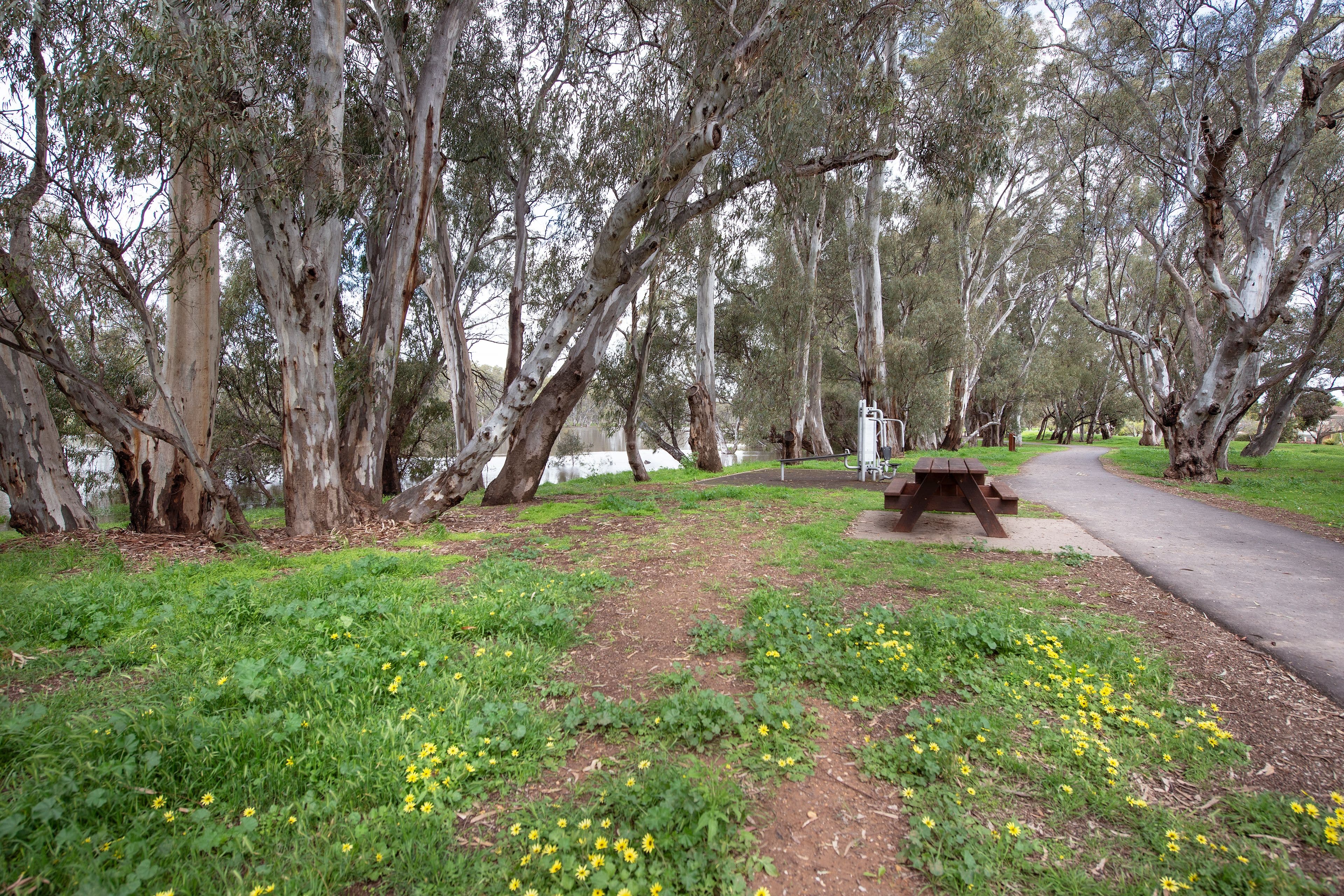 Unit 1, 9B Naretha Street, Swan Hill VIC 3585, Swan Hill - Thumbnail 8