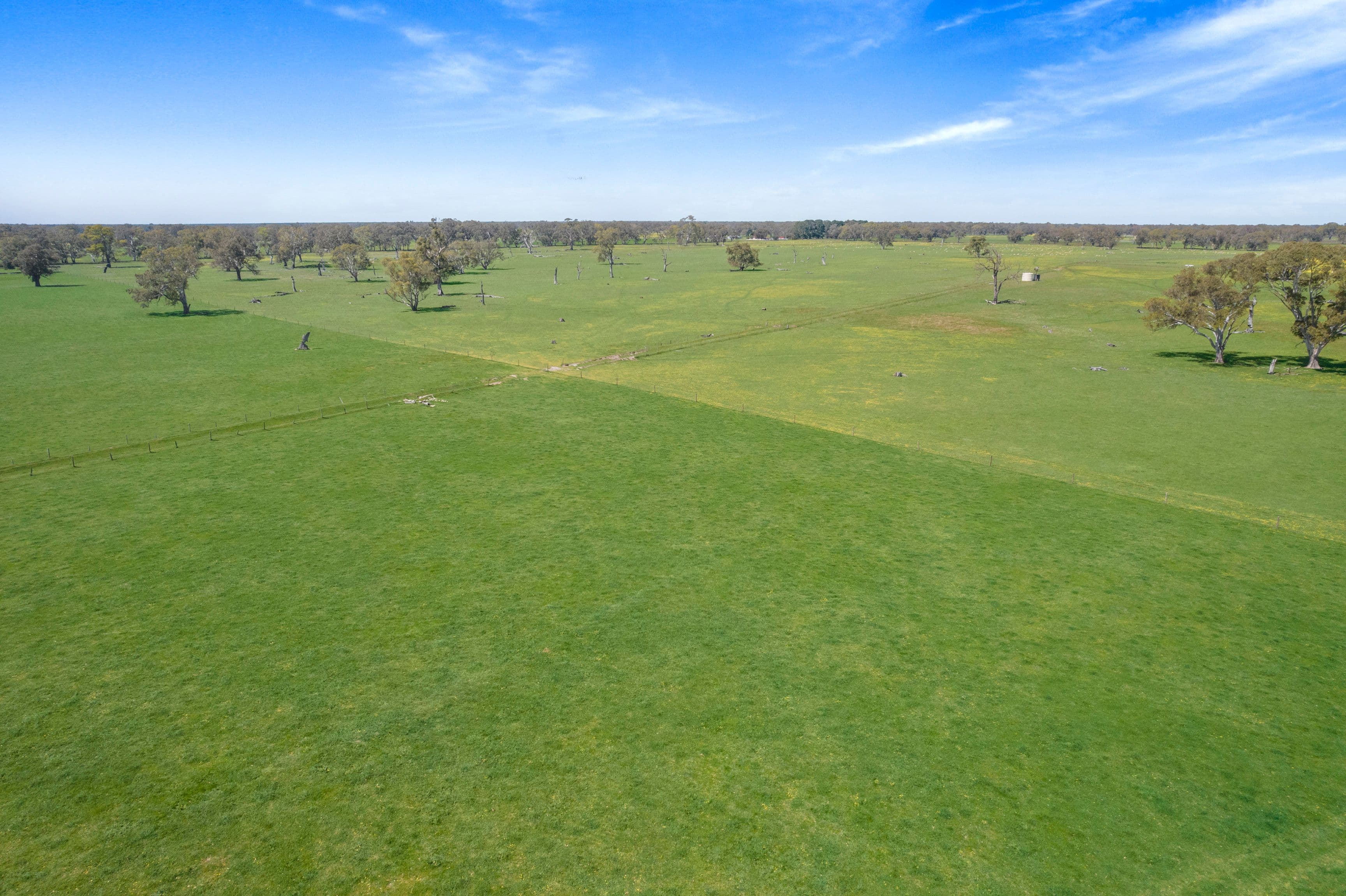 Lot 4 Richardson Road, Coonawarra SA 5263, Coonawarra - Thumbnail 4