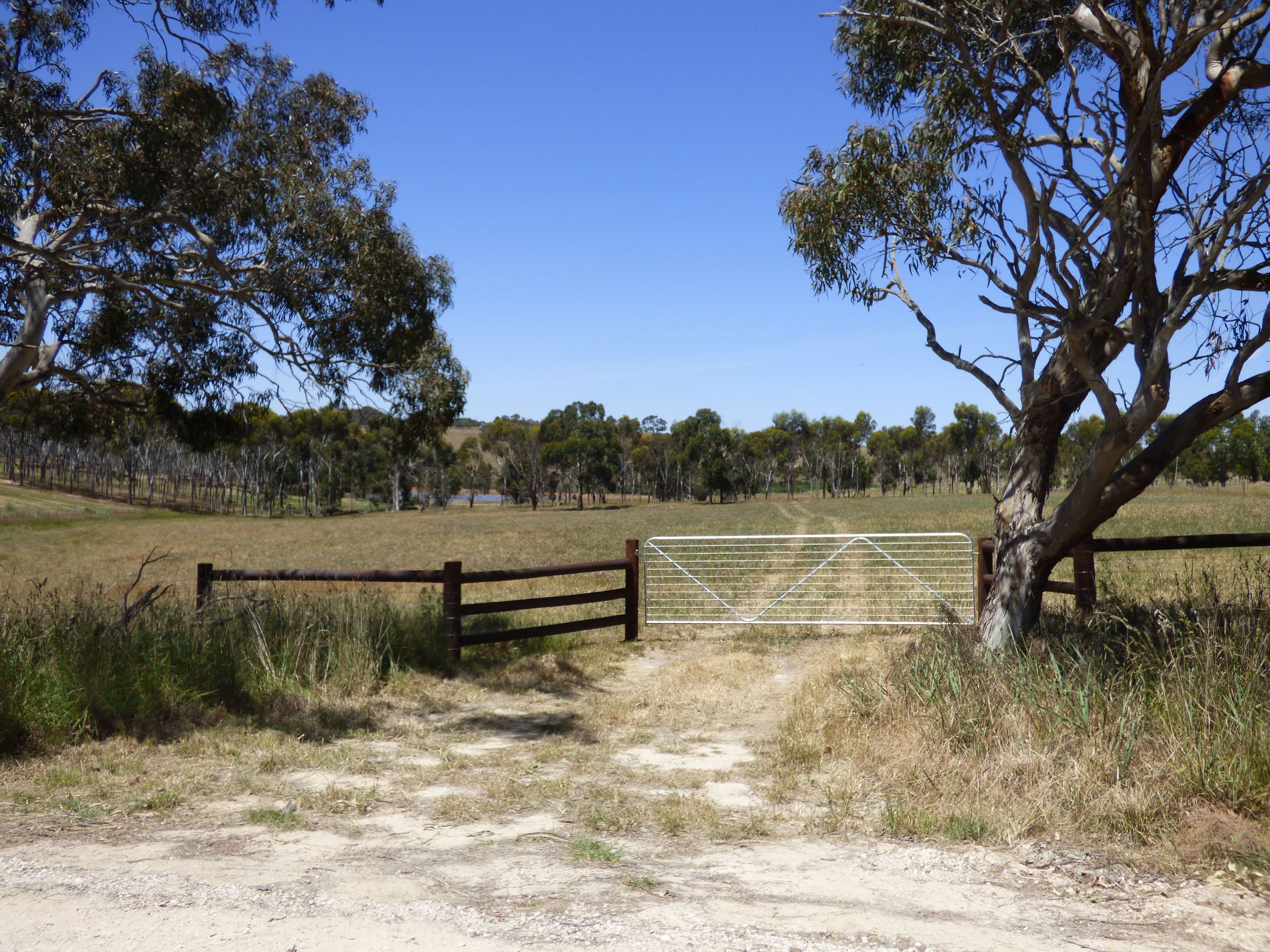 Lot 3 Klenke Road, Wistow SA 5251, Wistow - Thumbnail 2