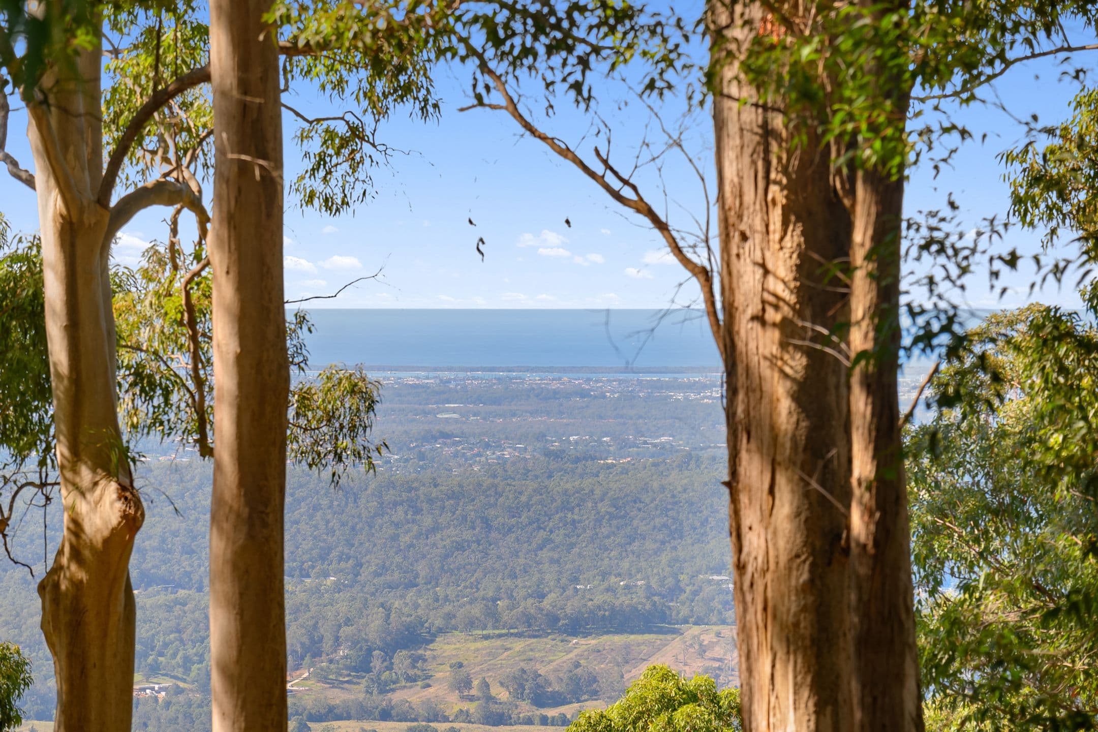 382 Henri Robert Drive, Clagiraba QLD 4211, Clagiraba - Thumbnail 6