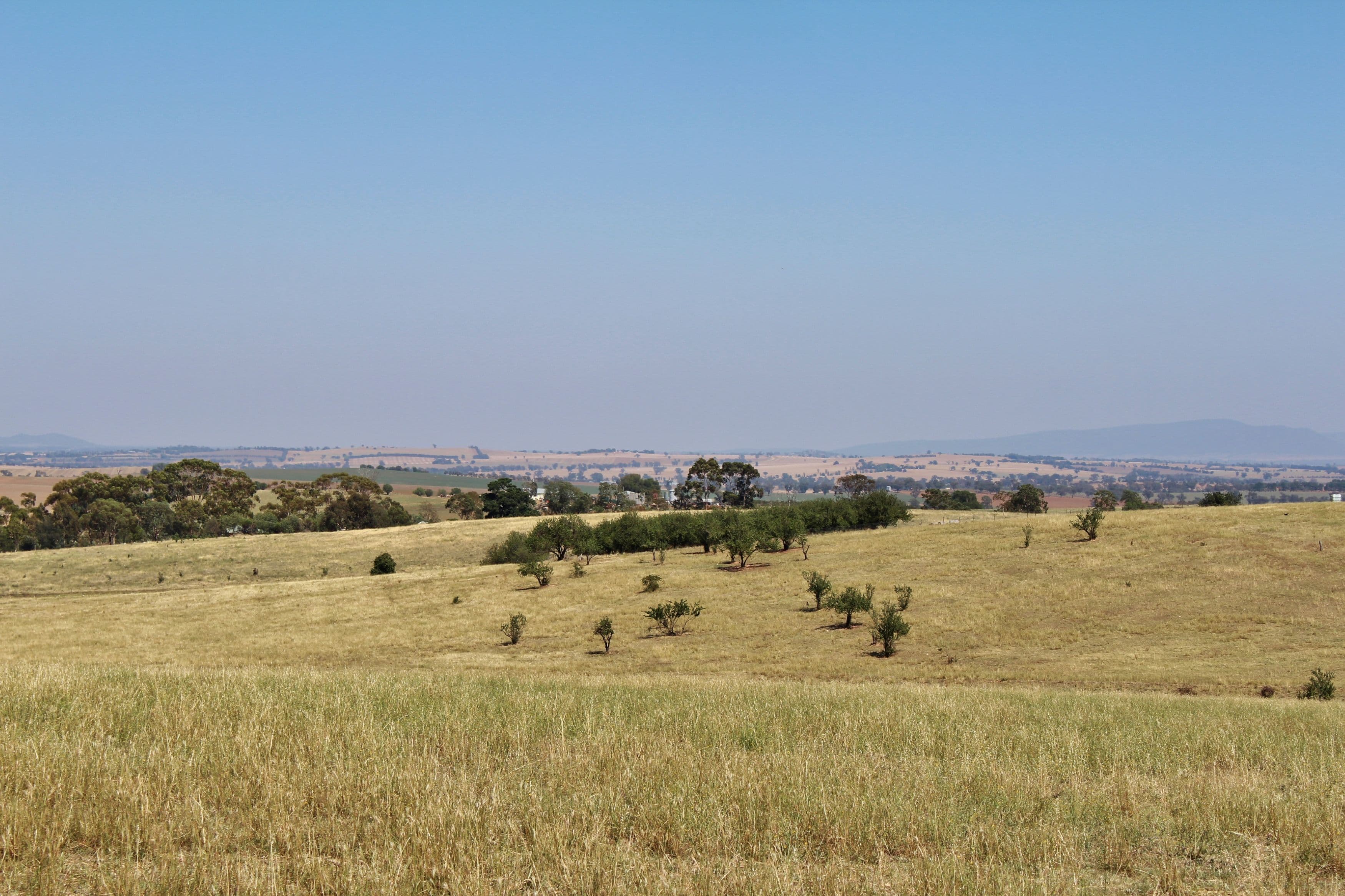 179 Wirrimah Road Greenethorpe, via, Young NSW 2594, Young - Thumbnail 6