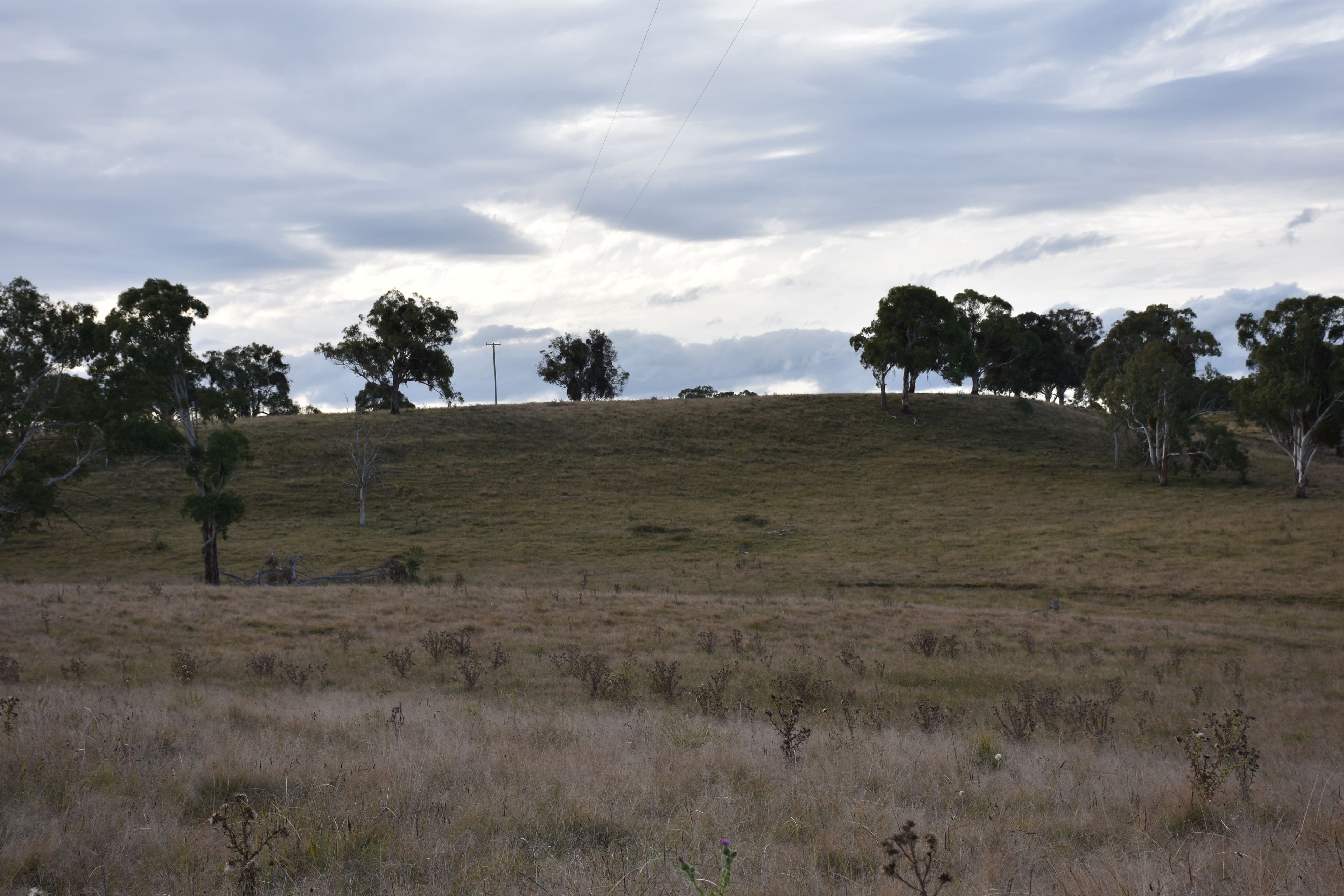 0 Donnelly's, Glen Innes NSW 2370, Glen Innes - Thumbnail 2