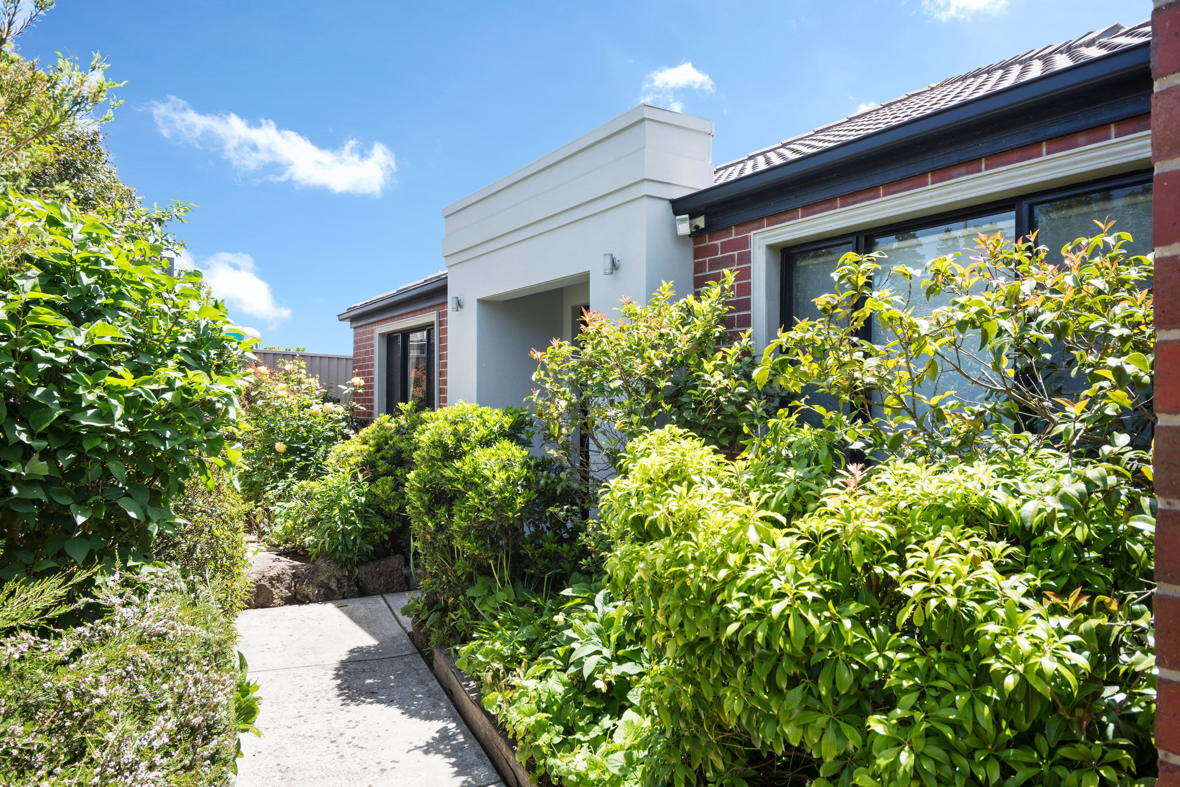 17 Harrier Drive, Invermay Park  Victoria  3350, Australia, Invermay Park - Image 1