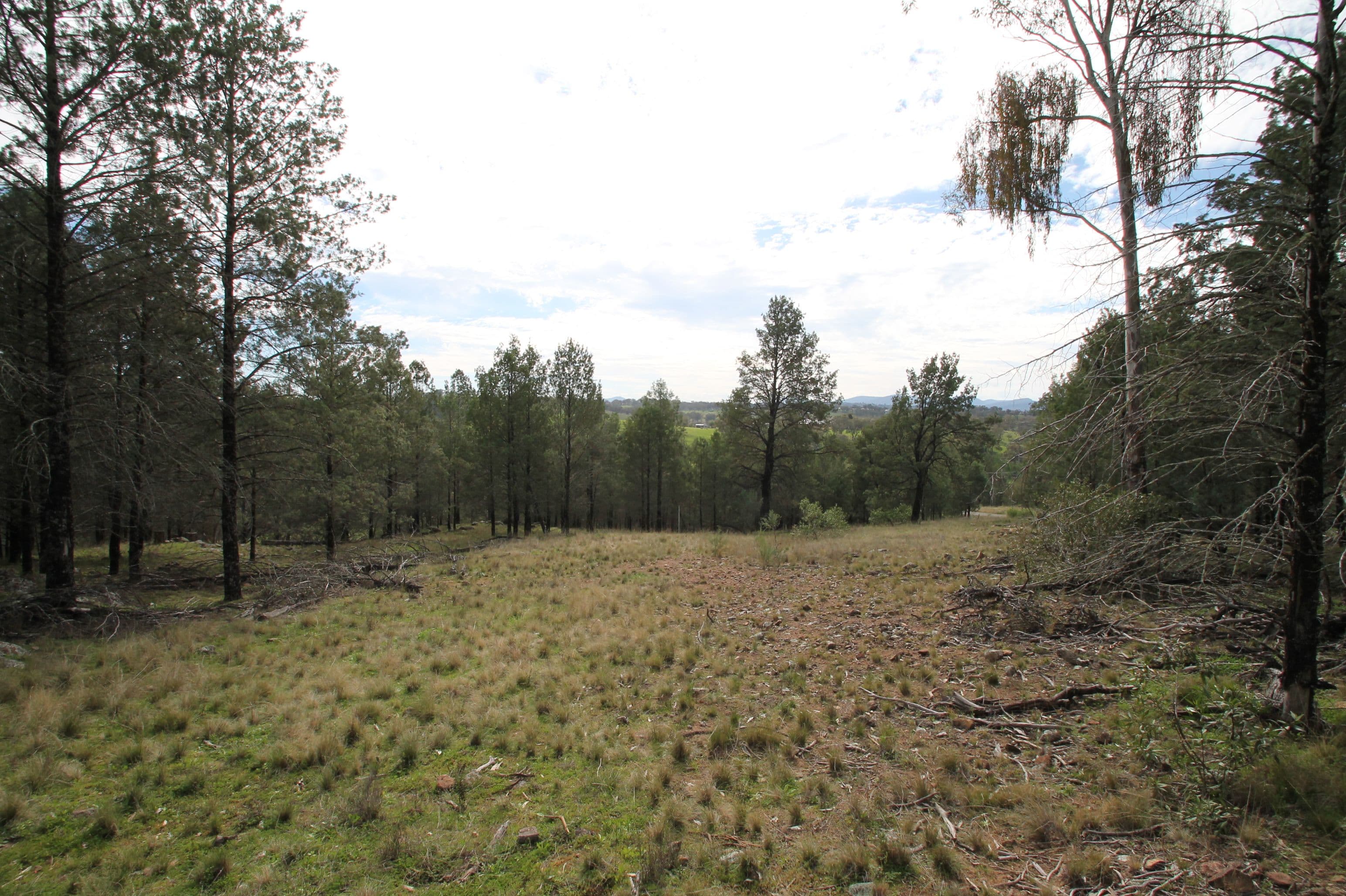 Lot 13 Grandview Place, Quirindi NSW 2343, Quirindi - Thumbnail 2
