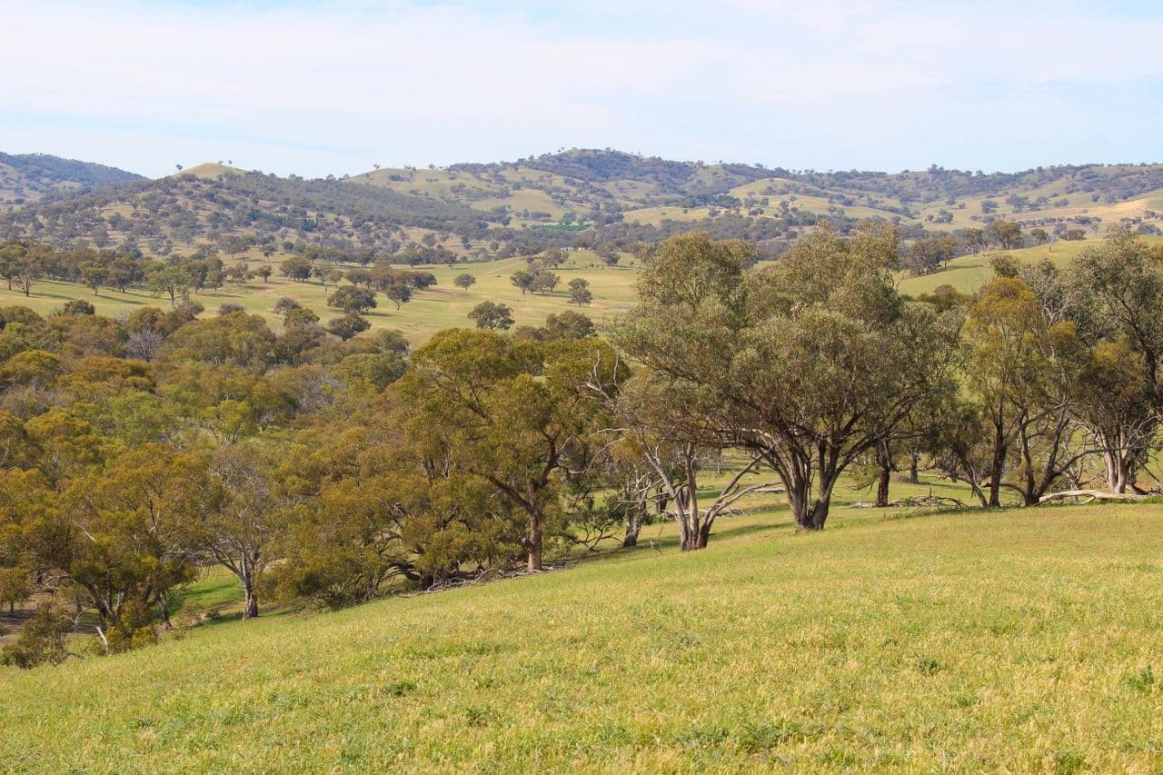 2529 Sofala Road, Bathurst NSW 2795, Bathurst - Thumbnail 8