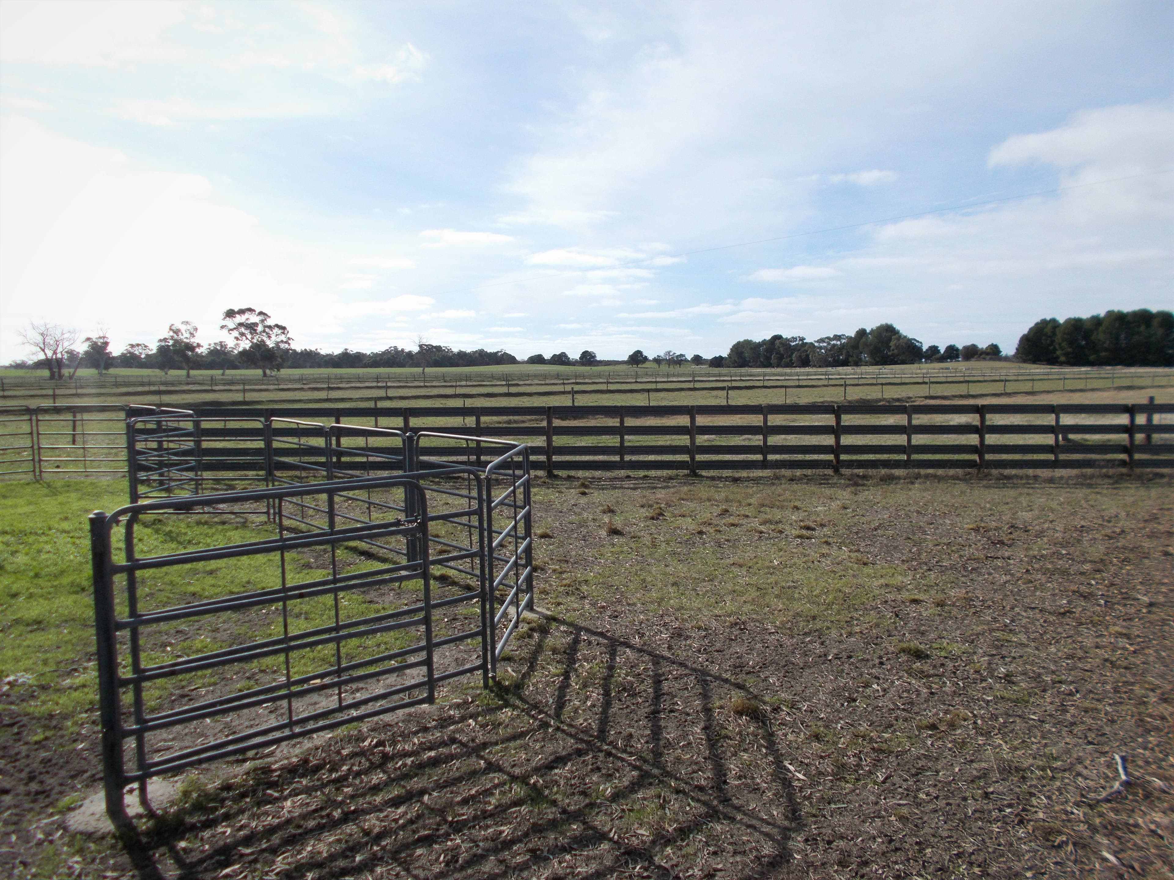 469 Cadell Road, Western Flat SA 5268, Western Flat - Thumbnail 8