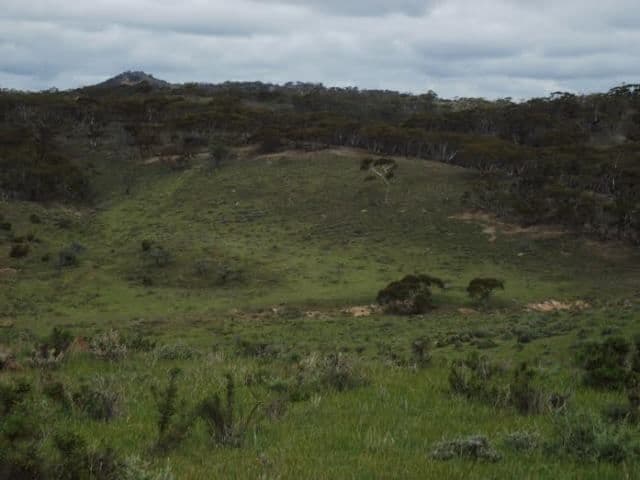 "Kerns" Black Peak Road, WORLDS END SA 5381, Worlds End - Thumbnail 8