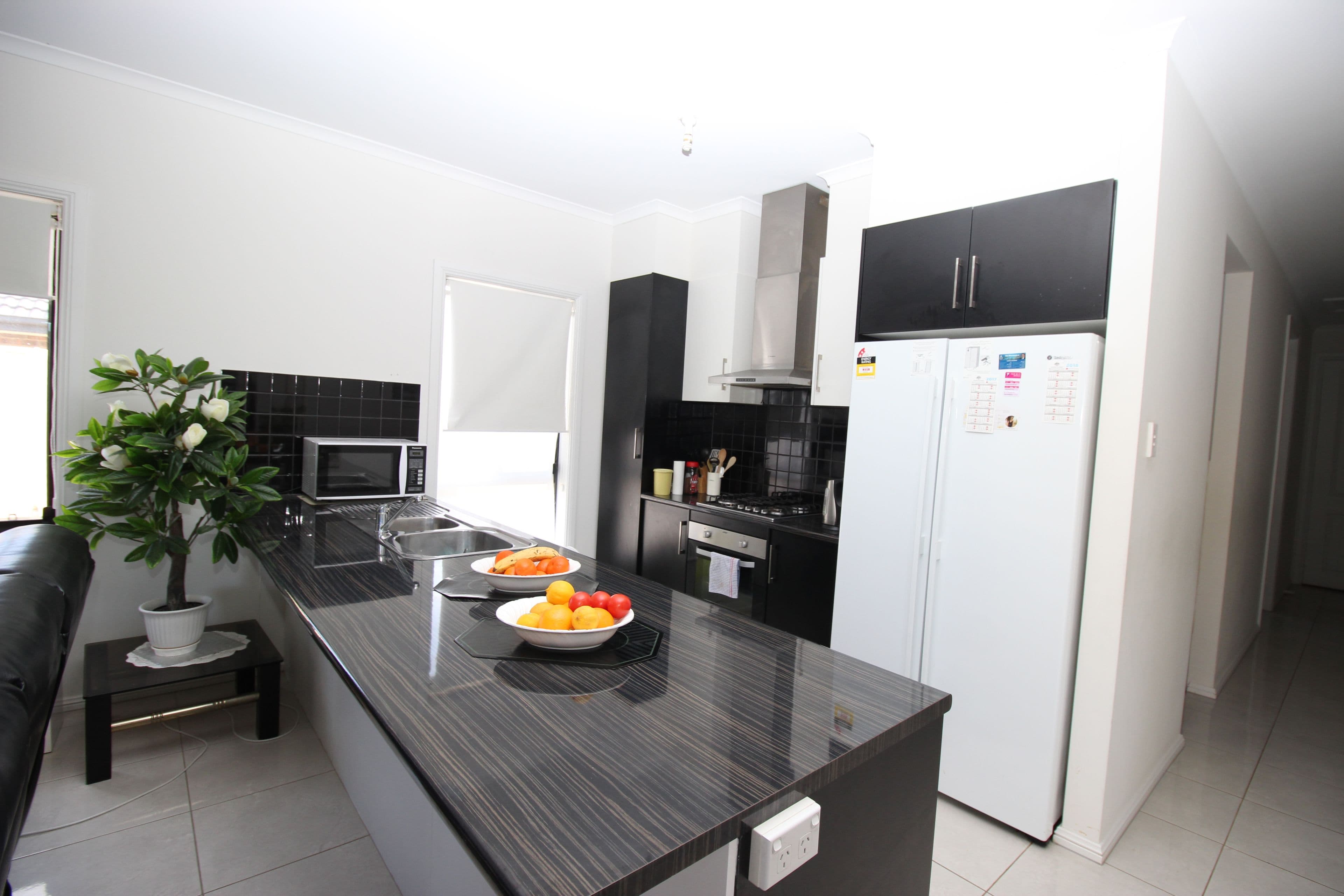 21A Marschall Street, Waikerie SA 5330, Waikerie - Thumbnail 2