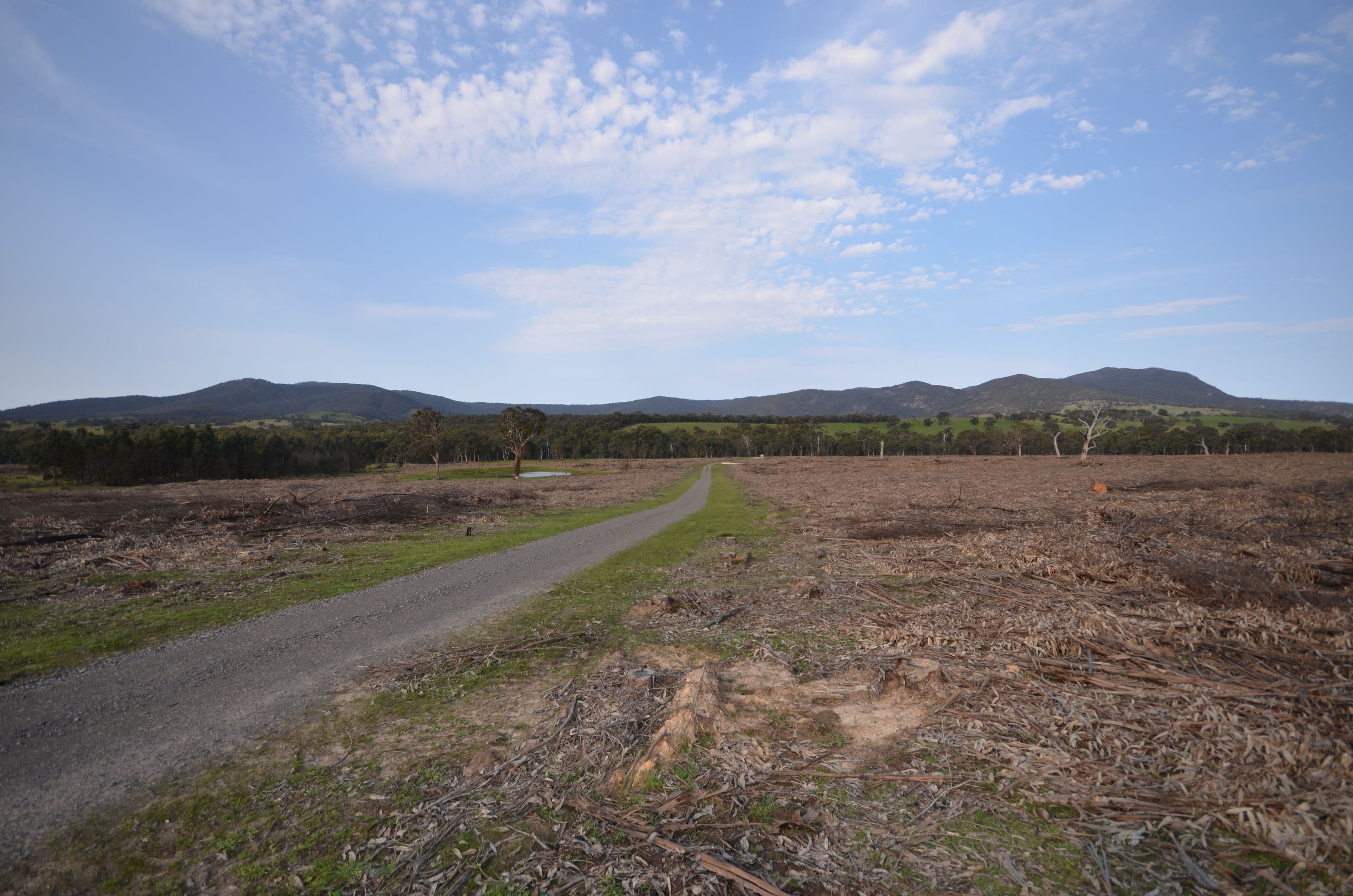 Pilgrim South Buangor - Ben Nevis Road, WARRAK VIC 3377, Warrak - Image 1