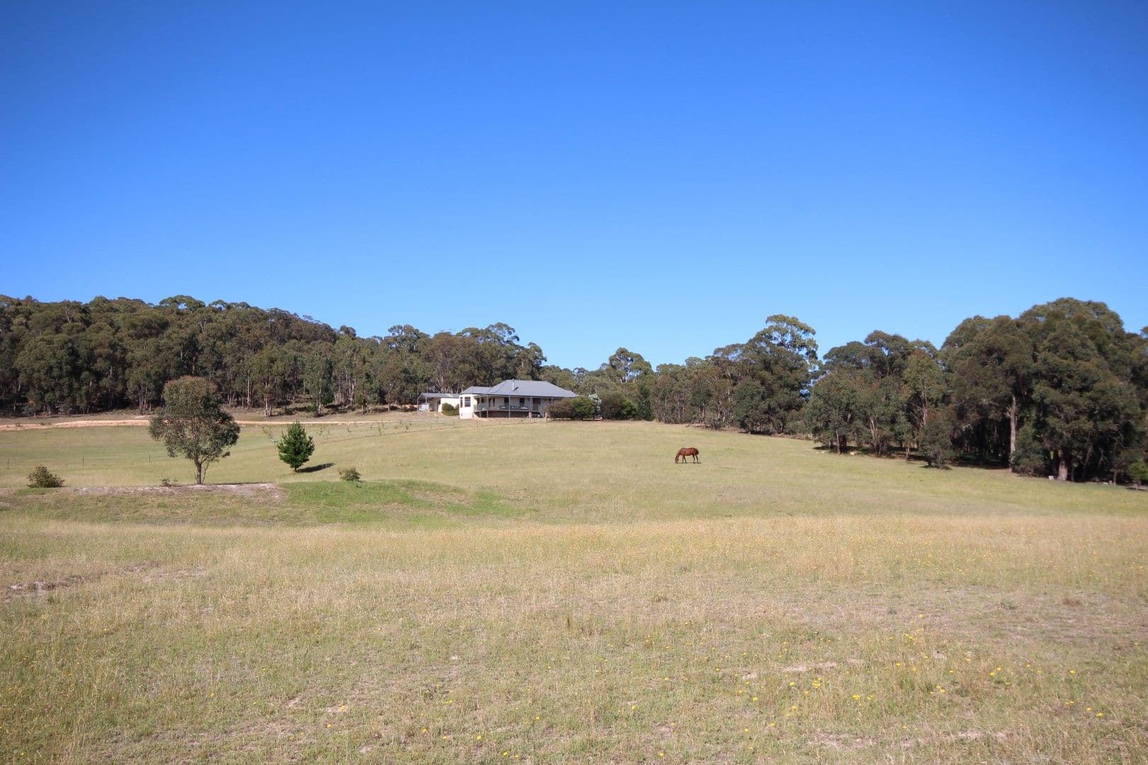 715 Nunans Hill Road, Hazelgrove NSW 2787, Hazelgrove - Thumbnail 3