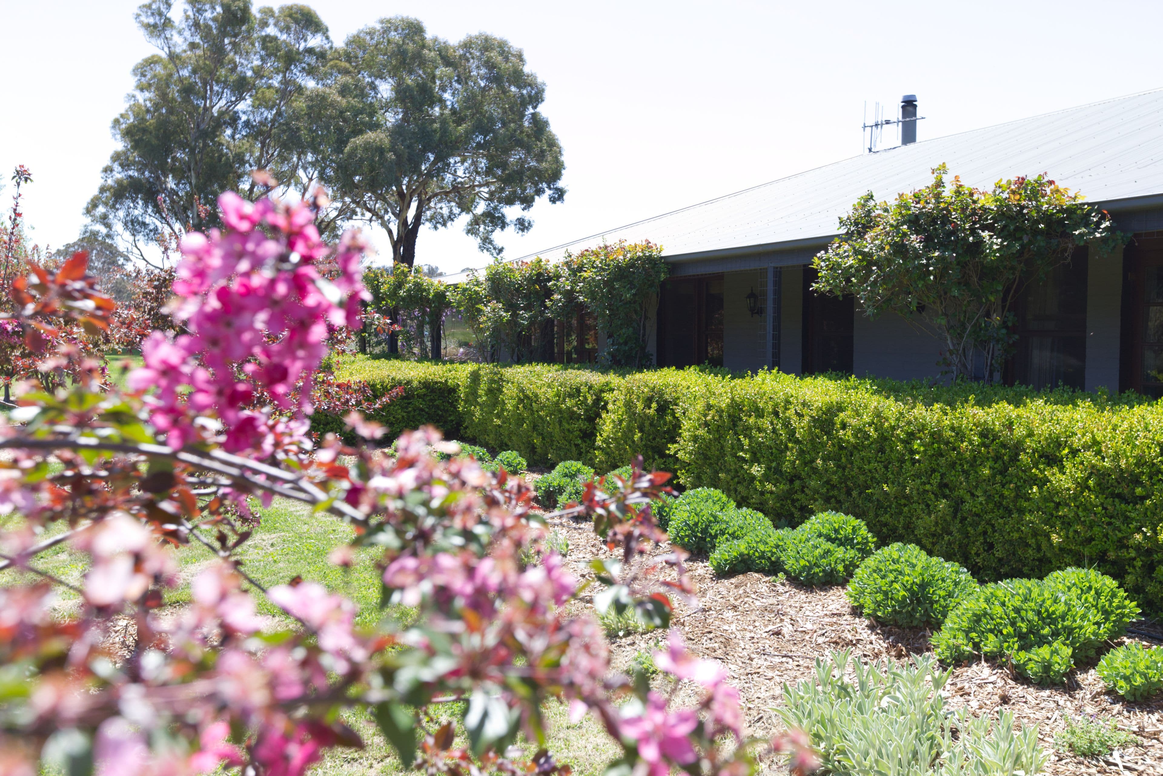 134 Pucketts Lane, Goulburn NSW 2580, Goulburn - Image 1