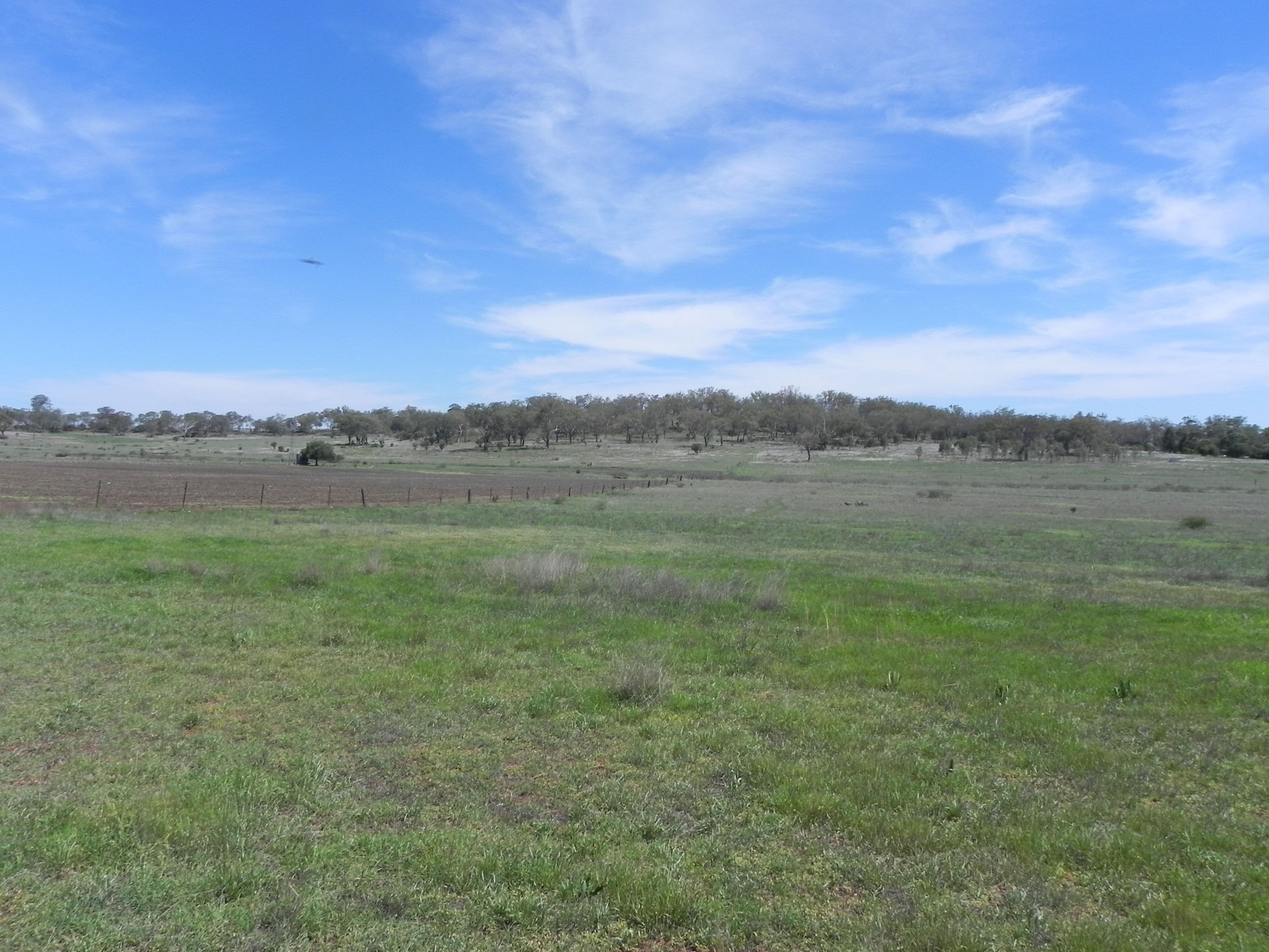 0 F Drews Road, Biddeston QLD 4401, Biddeston - Thumbnail 2