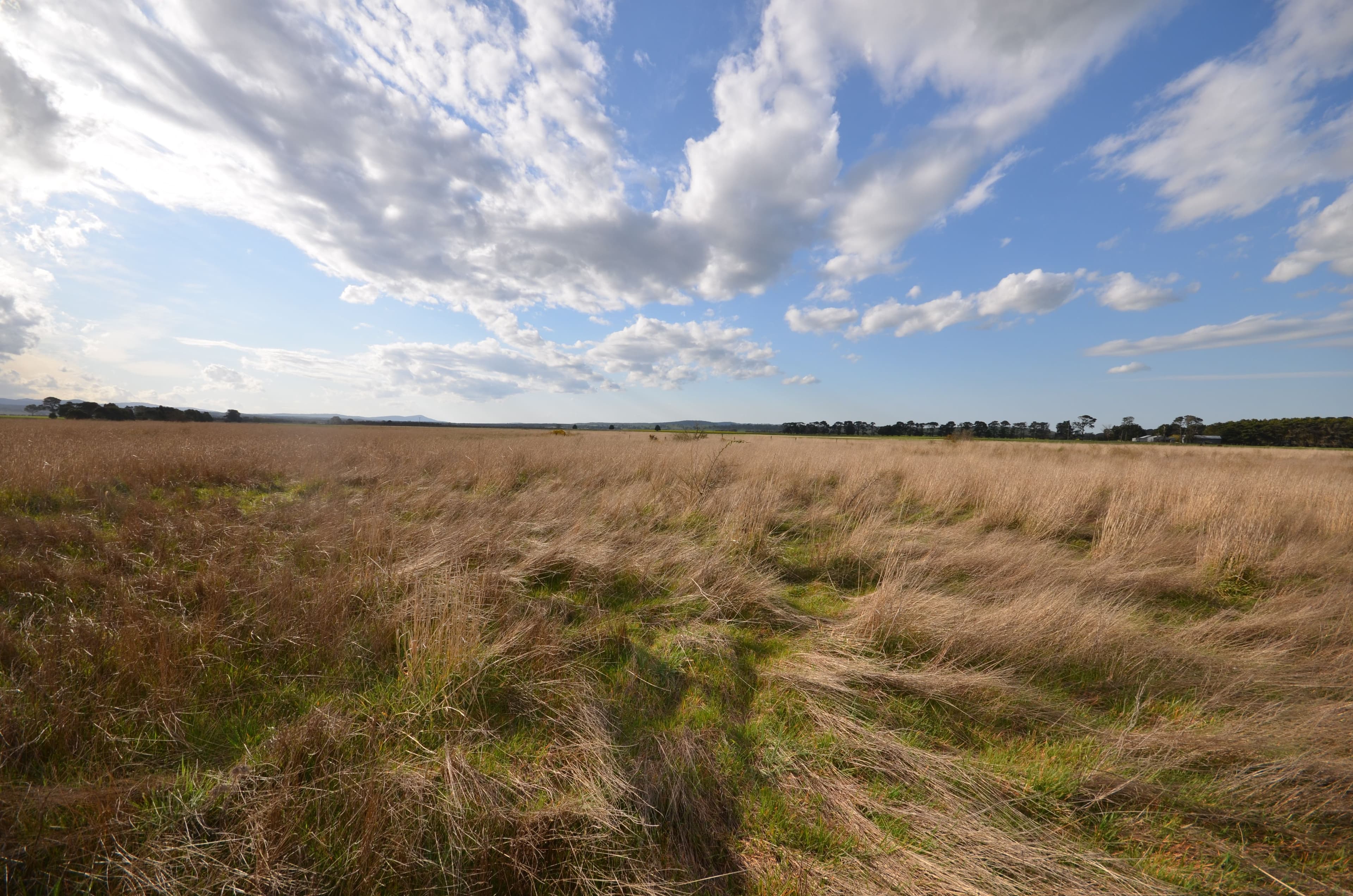 CA 24 Trawalla - Waterloo Road, TRAWALLA  Victoria  3373, Australia, Trawalla - Thumbnail 2