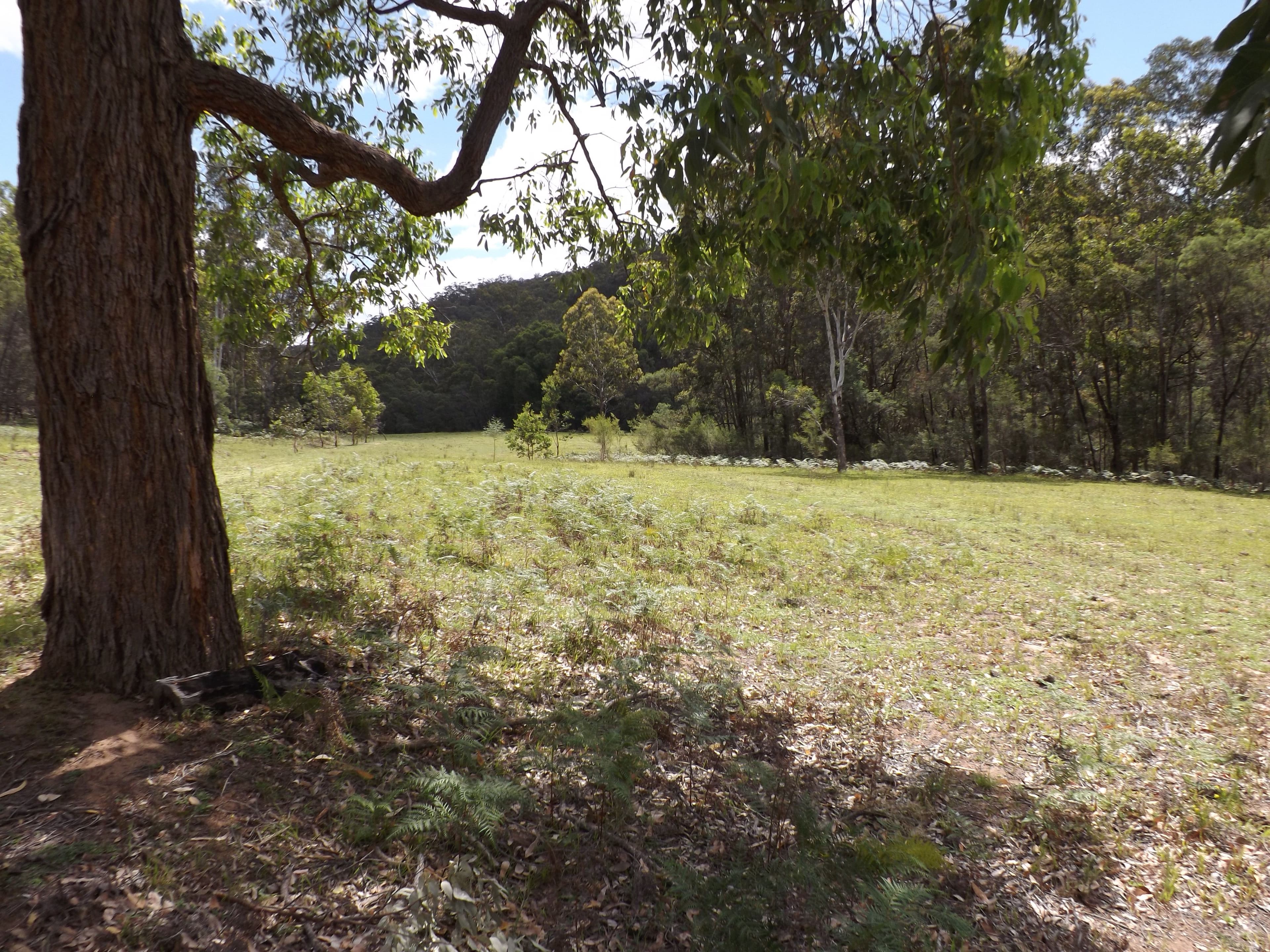Garland Valley NSW 2330, Garland Valley - Thumbnail 6