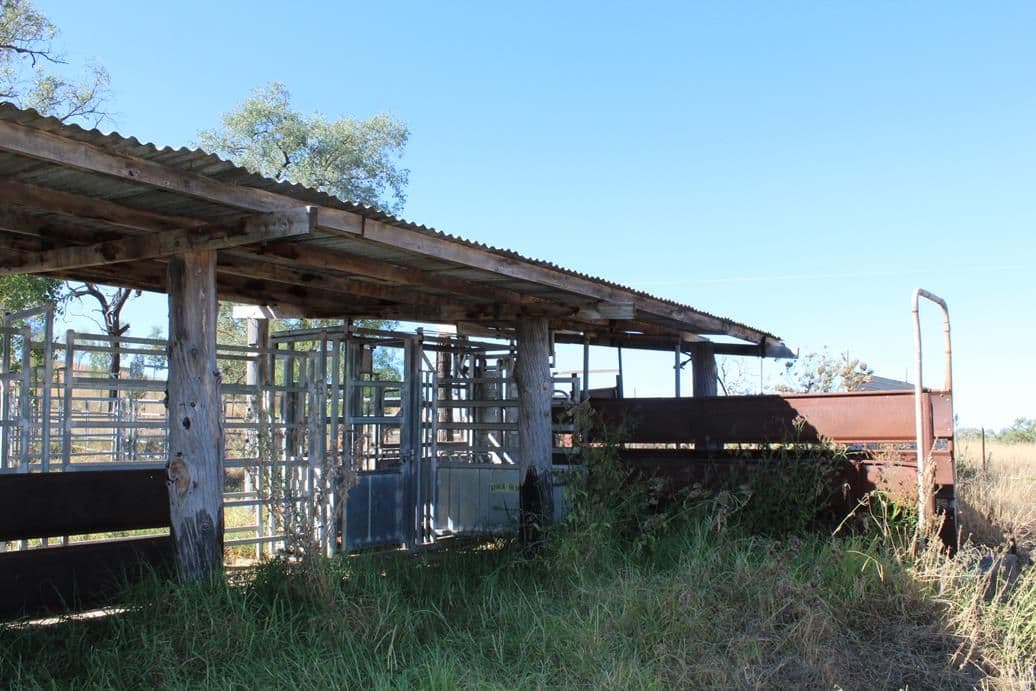 733 Upper Whitlow Road, Bingara NSW 2404, Bingara - Thumbnail 7
