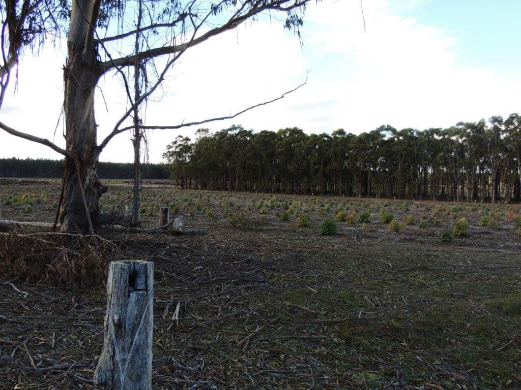 1583 Bandit Road, Denmark WA 6333, Denmark - Thumbnail 5