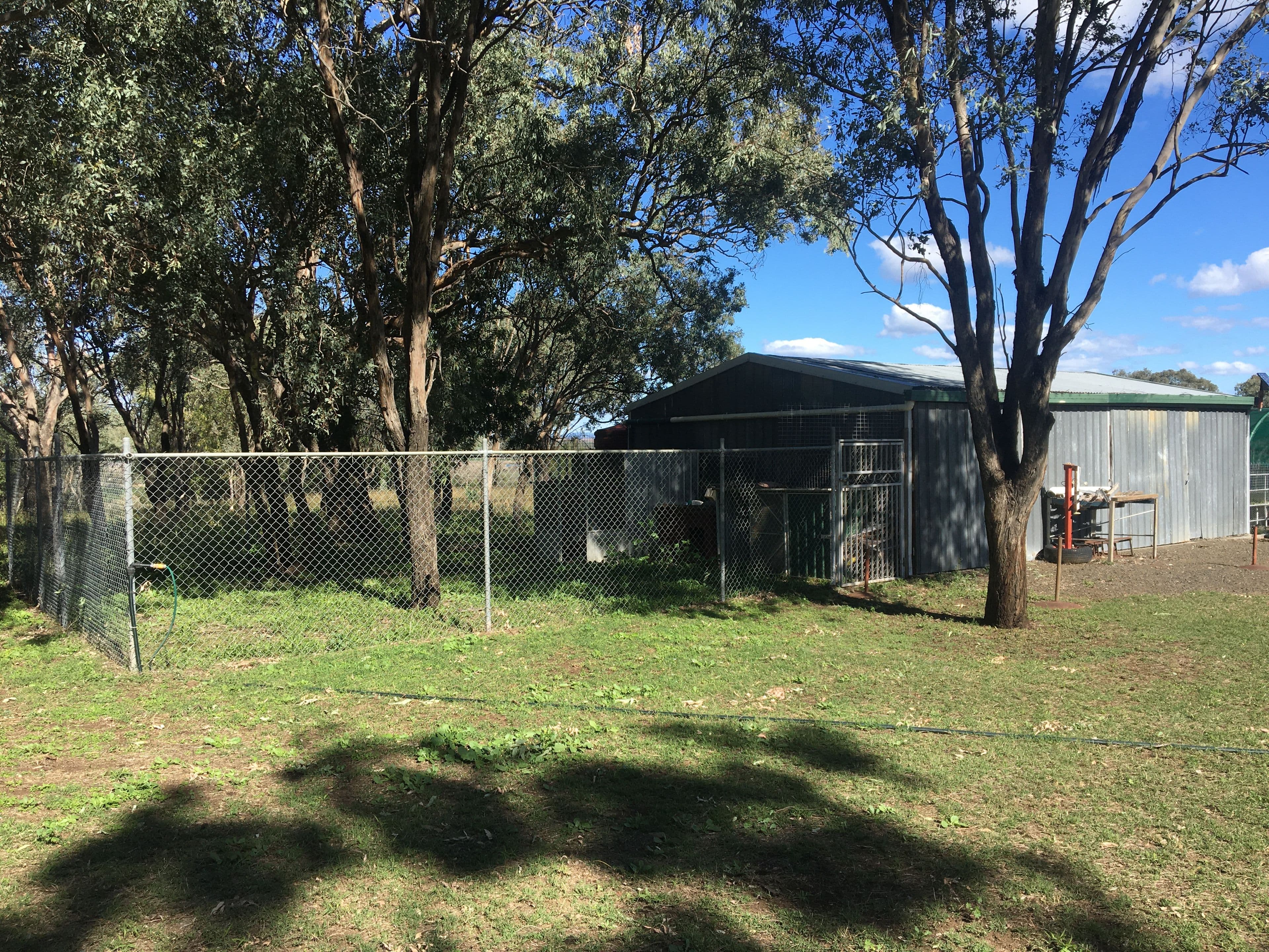 0 Scrubby Road, Scrubby Mountain, Pittsworth QLD 4356, Pittsworth - Thumbnail 4