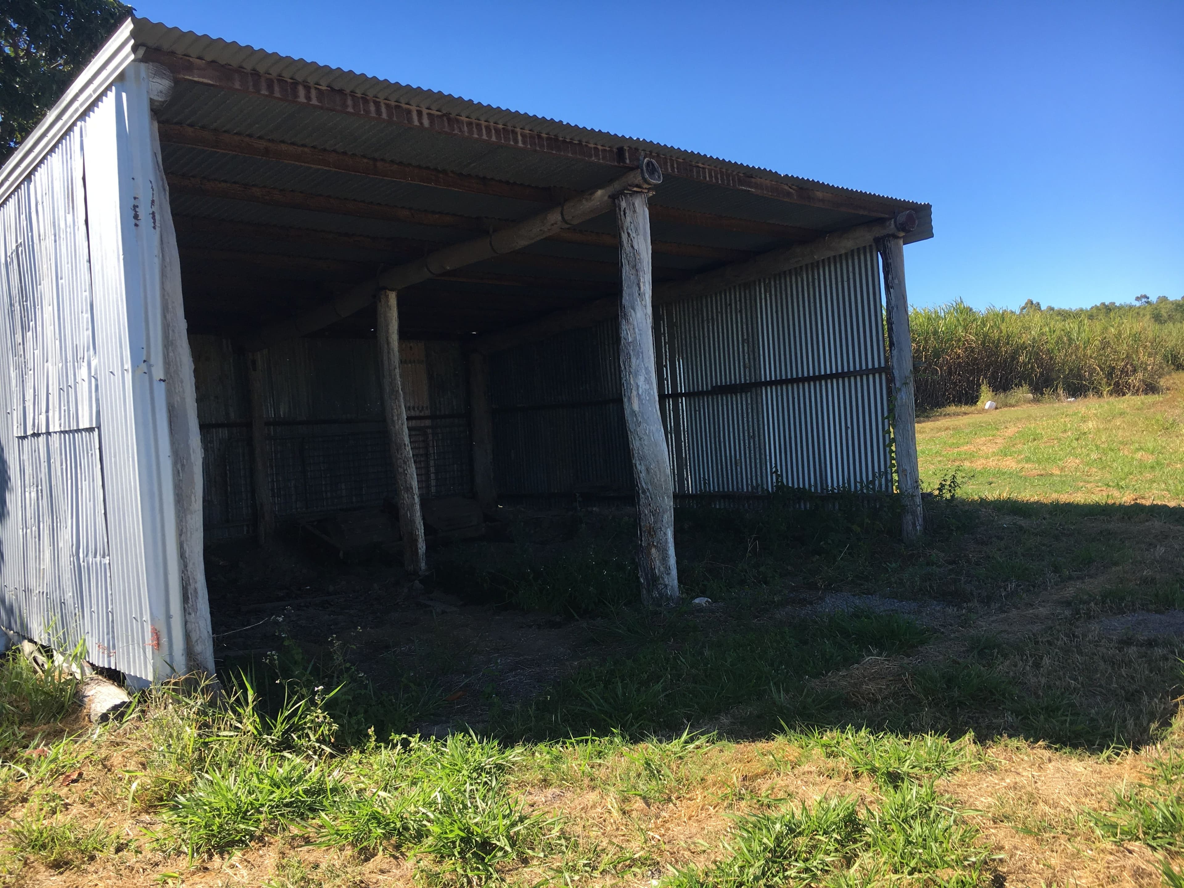 80 Cone Creek Road, Koumala QLD 4738, Koumala - Thumbnail 4