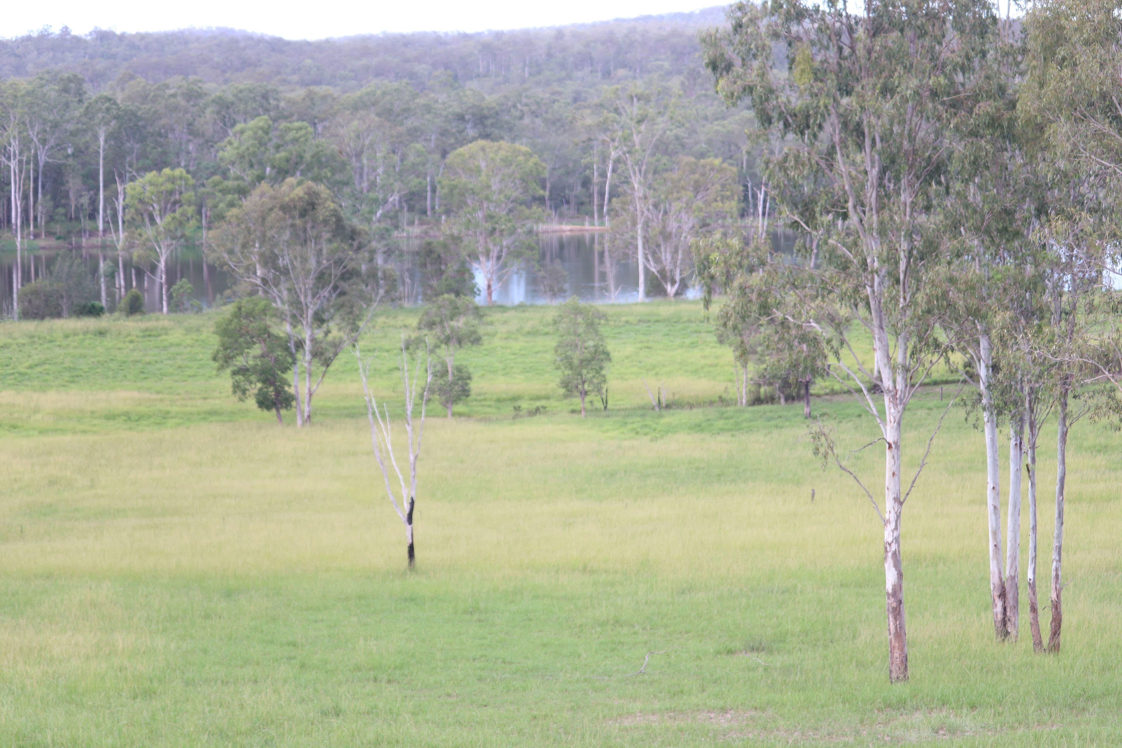 39040 Bruce Highway, Gin Gin QLD 4671, Gin Gin - Thumbnail 3