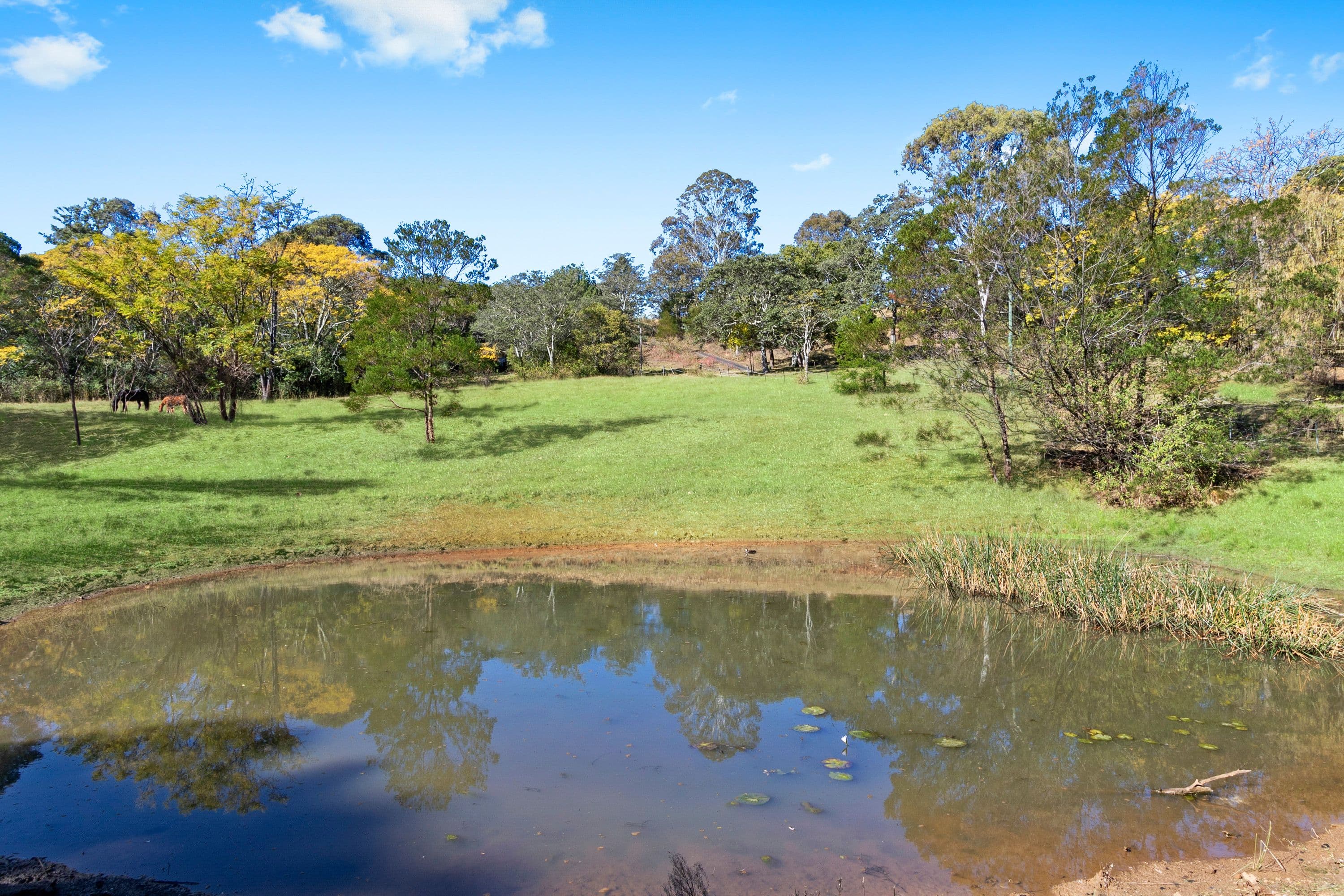 110 Hermitage Road, Kurrajong Hills NSW 2758, Kurrajong Hills - Thumbnail 5