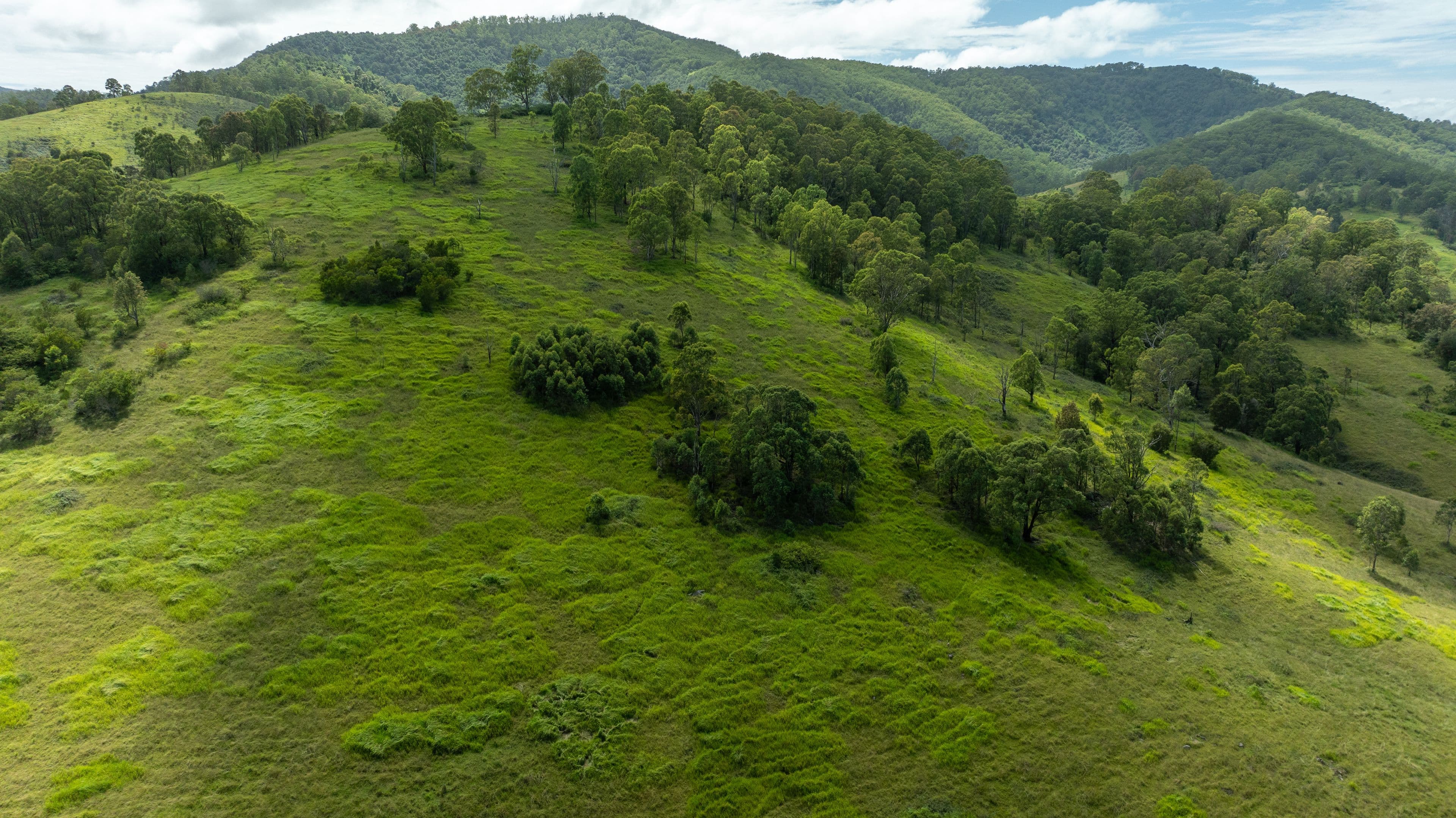 664 Bowman Farm Road, Bowman NSW 2422, Bowman - Thumbnail 4