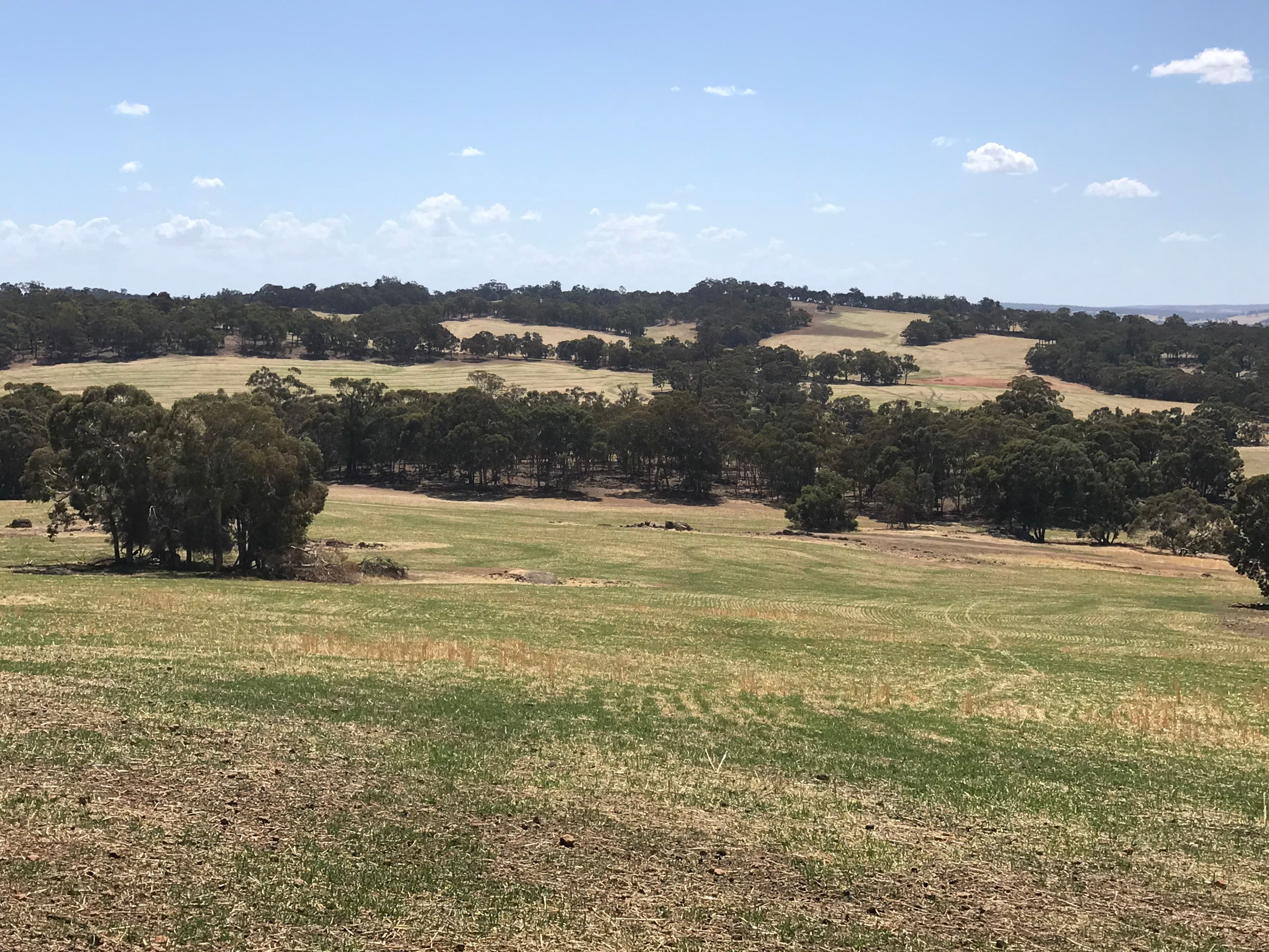 Cloverbrook 546 Dwarda East Road, Wandering WA 6308, Wandering - Image 1