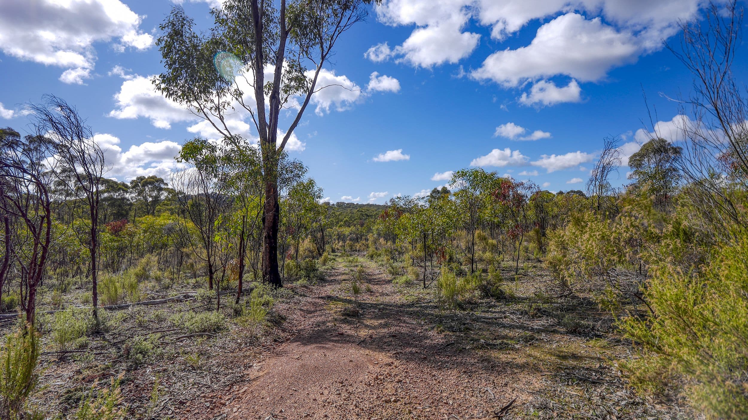 175 Pontings Lane, Bailieston VIC 3608, Bailieston - Thumbnail 6
