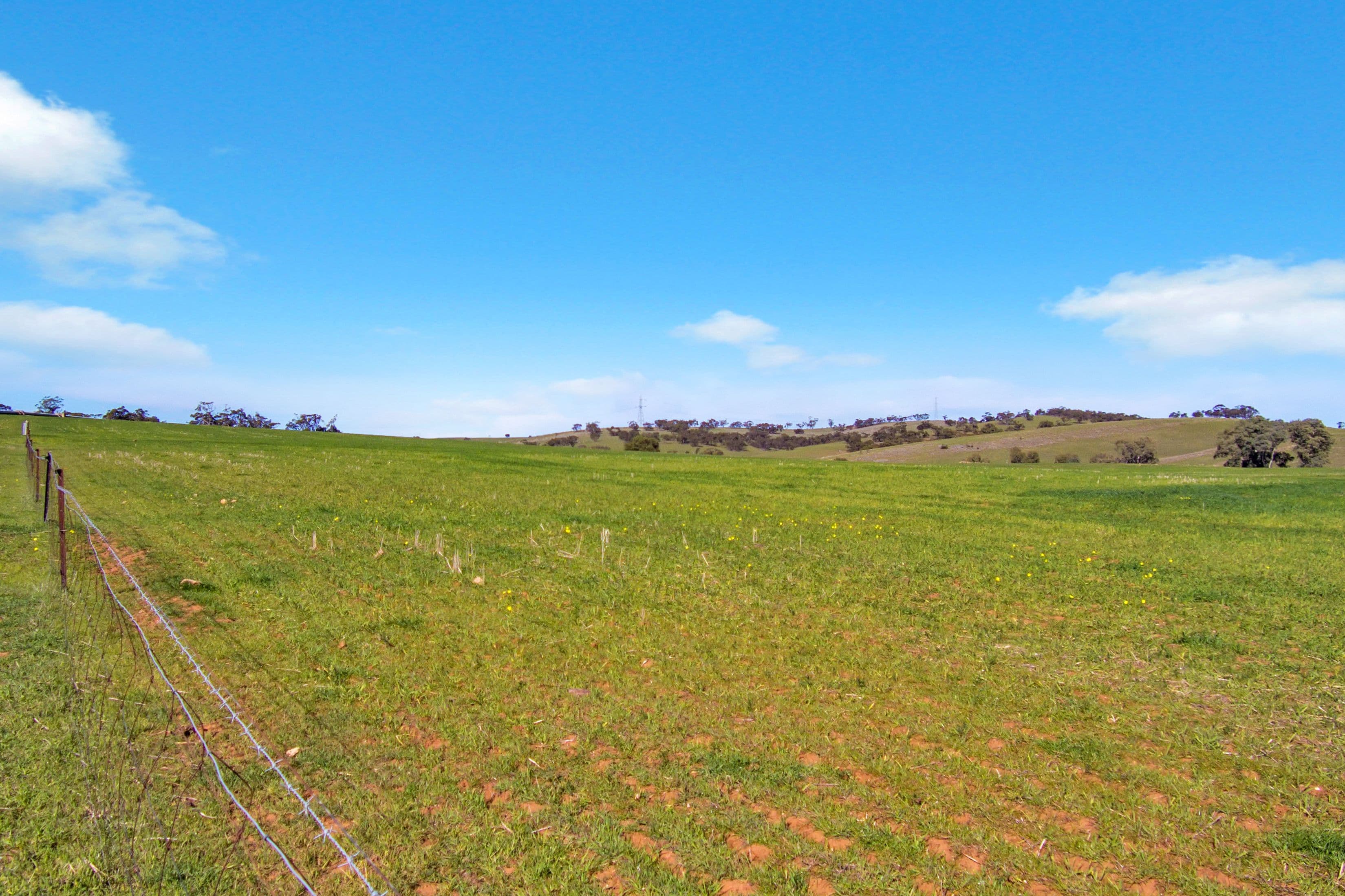 "Willow Ponds" Georgetown-Huddleston Road, Georgetown SA 5472, Georgetown - Thumbnail 5