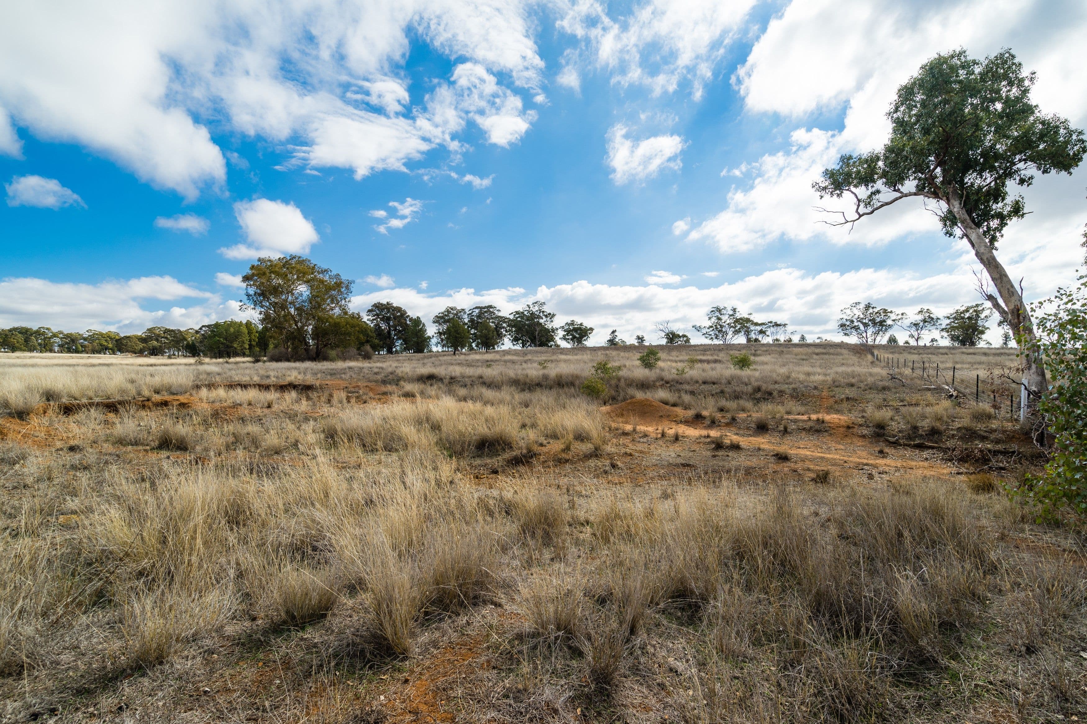 72L Burraway Road, Dubbo NSW 2830, Dubbo - Thumbnail 4