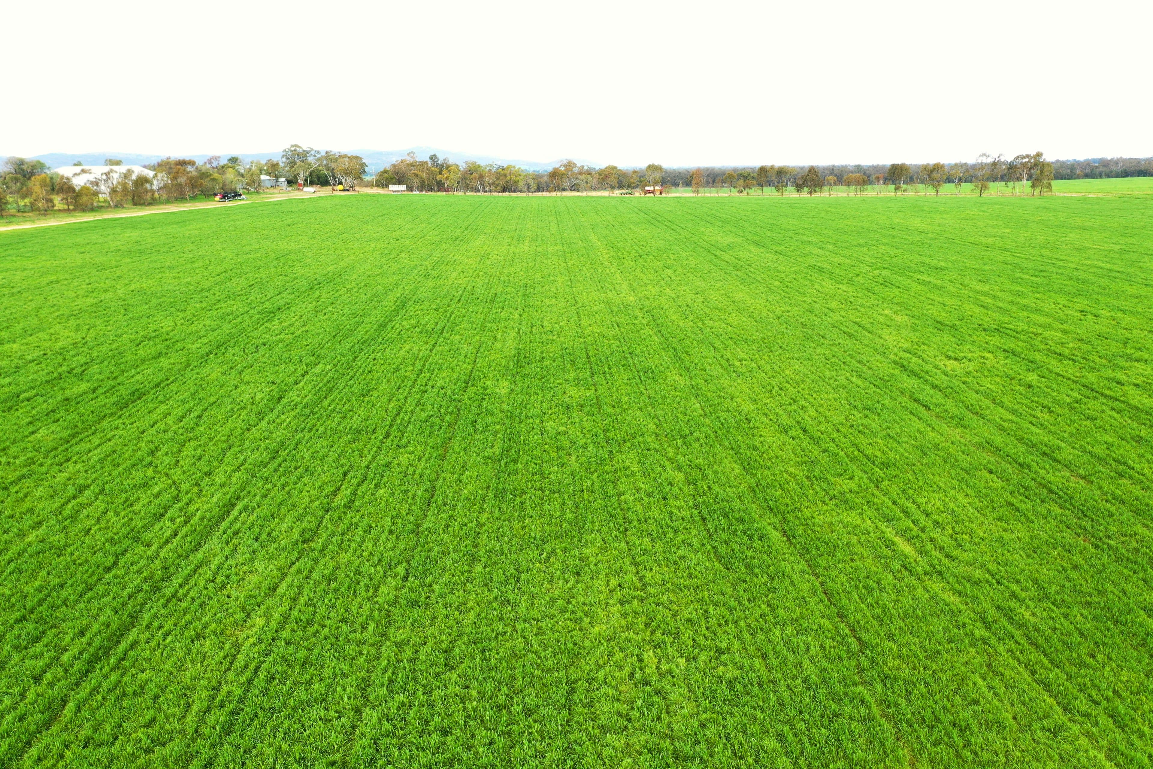 Grenfell NSW 2810, Grenfell - Thumbnail 4