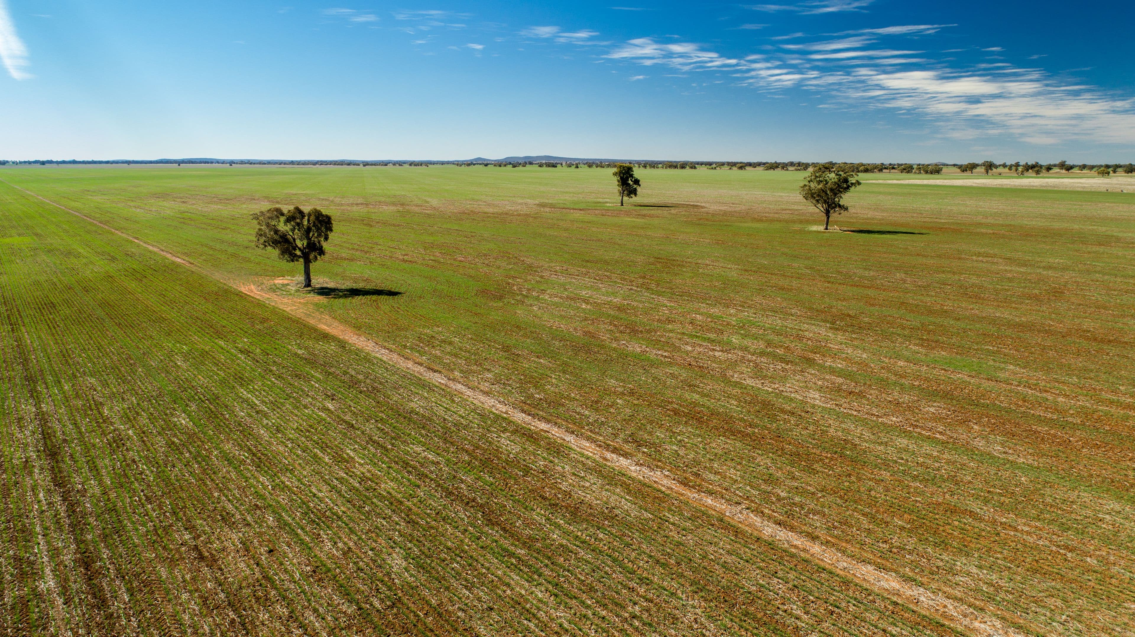 Narrandera NSW 2700, Narrandera - Thumbnail 3