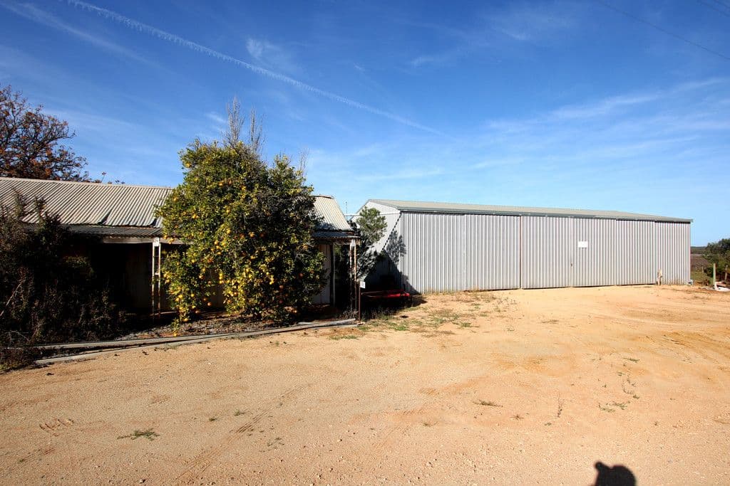 332 Costello Road, Loveday SA 5345, Loveday - Thumbnail 5