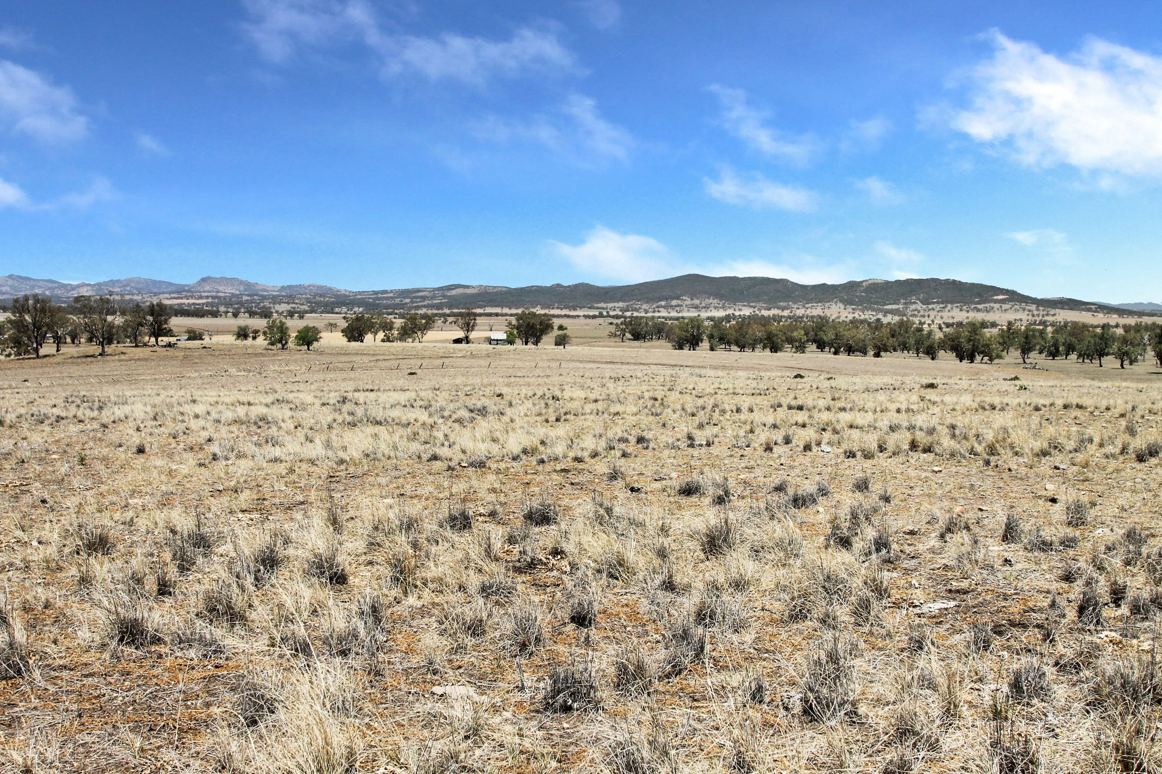 237 Porters Lane, Quirindi NSW 2343, Quirindi - Thumbnail 2