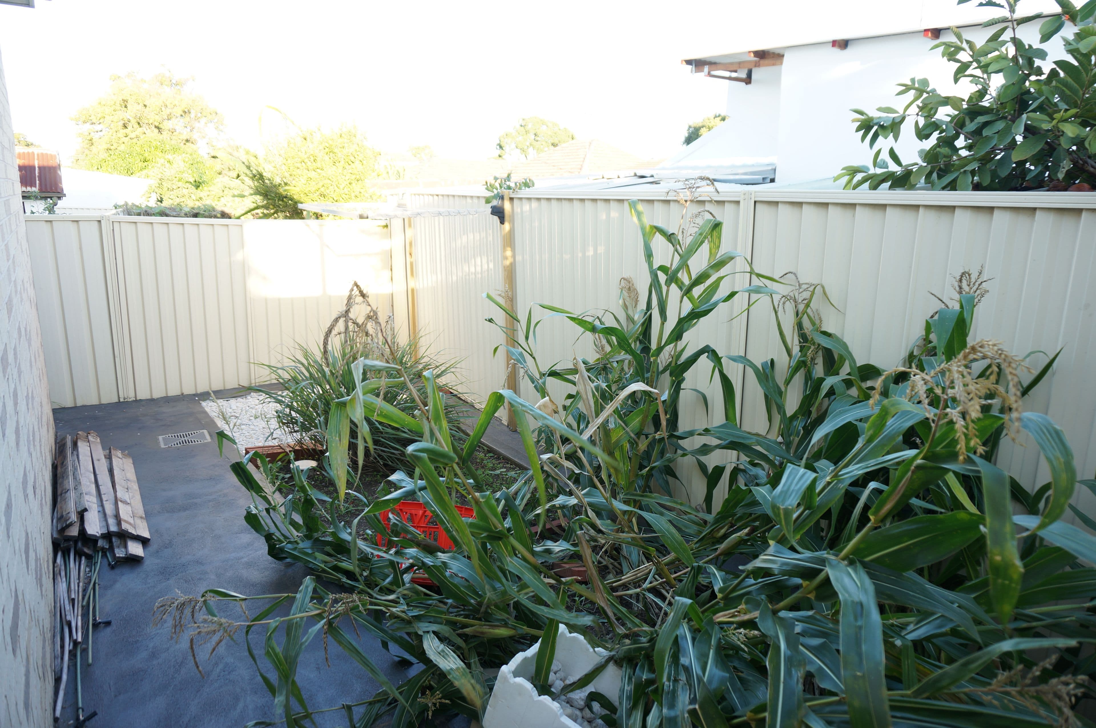 Fairfield West NSW 2165, Fairfield West - Thumbnail 7