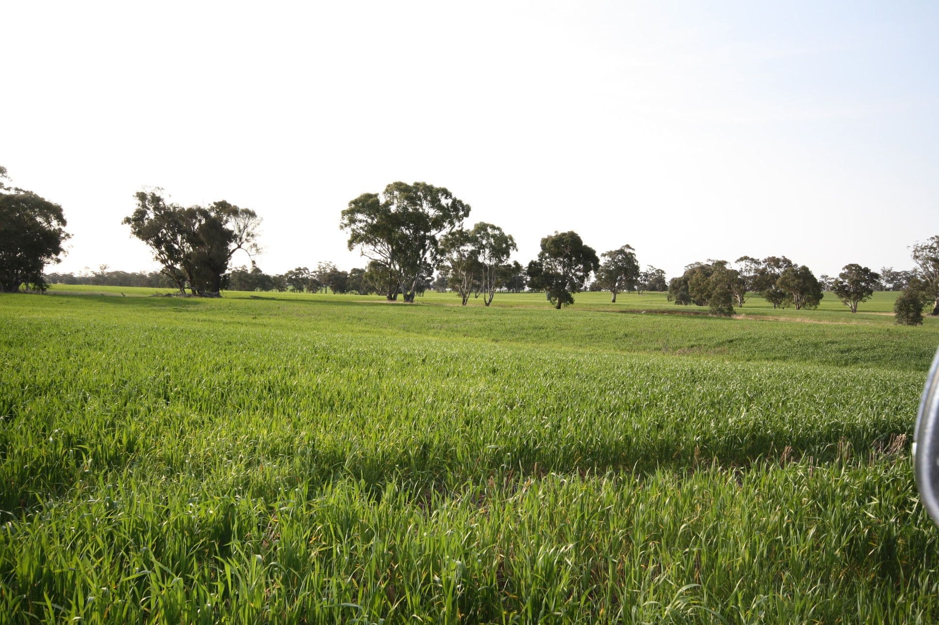 00 Dunolly Road, St Arnaud VIC 3478, St Arnaud - Thumbnail 4