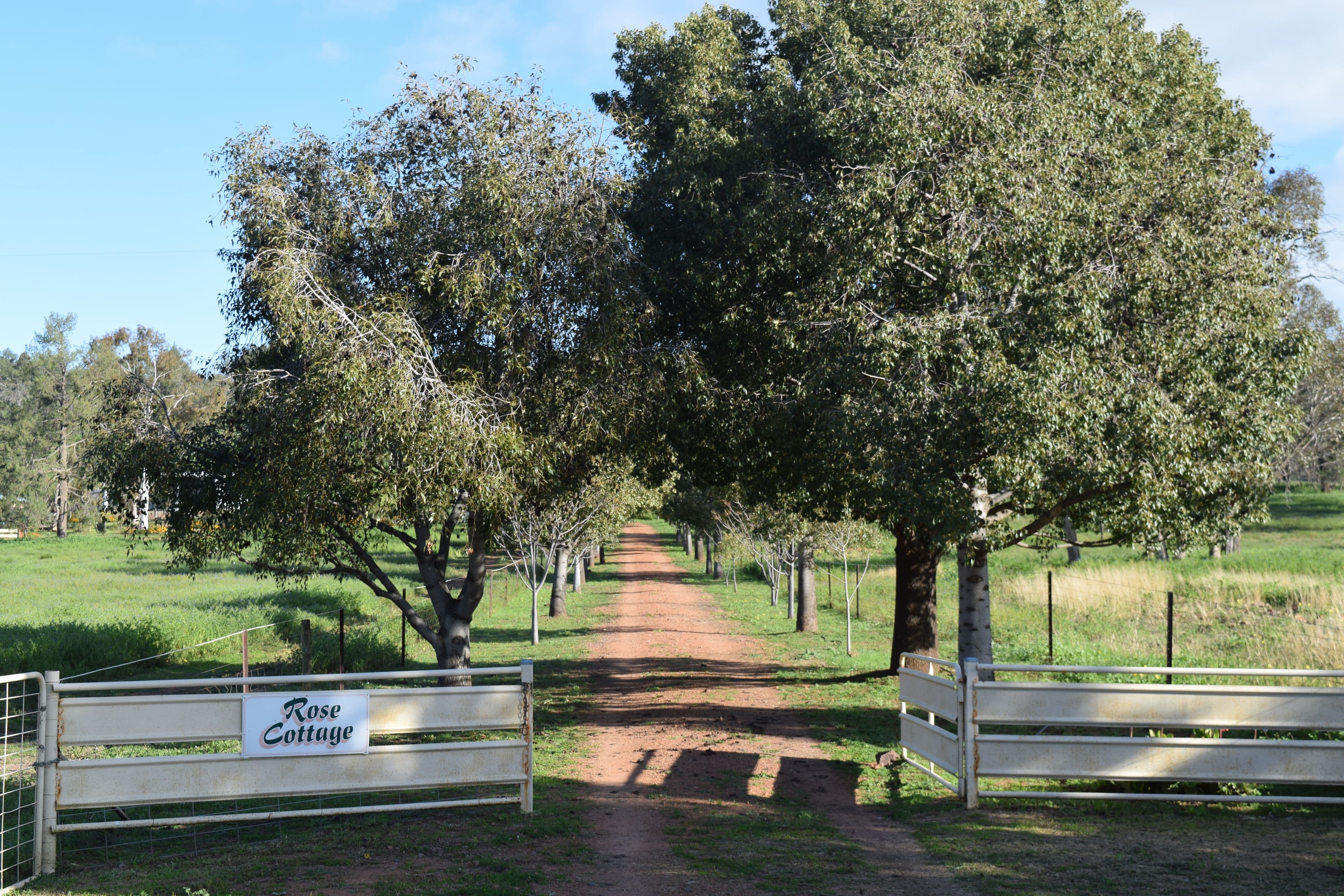 878 Mount Tallabung Road, Wirrinya NSW 2871, Wirrinya - Image 1