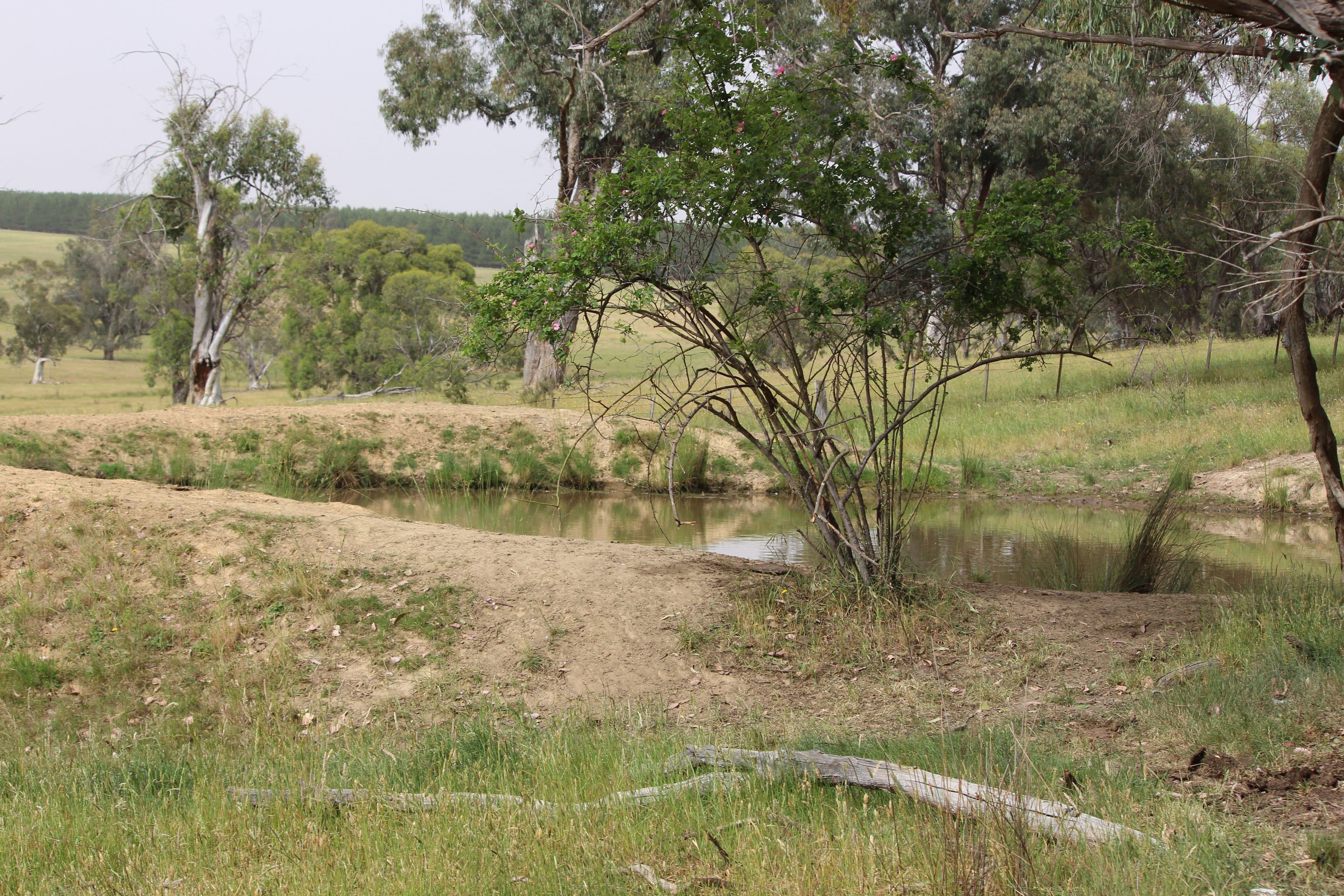 1126 Munderoo Road, Munderoo NSW 2653, Munderoo - Thumbnail 6
