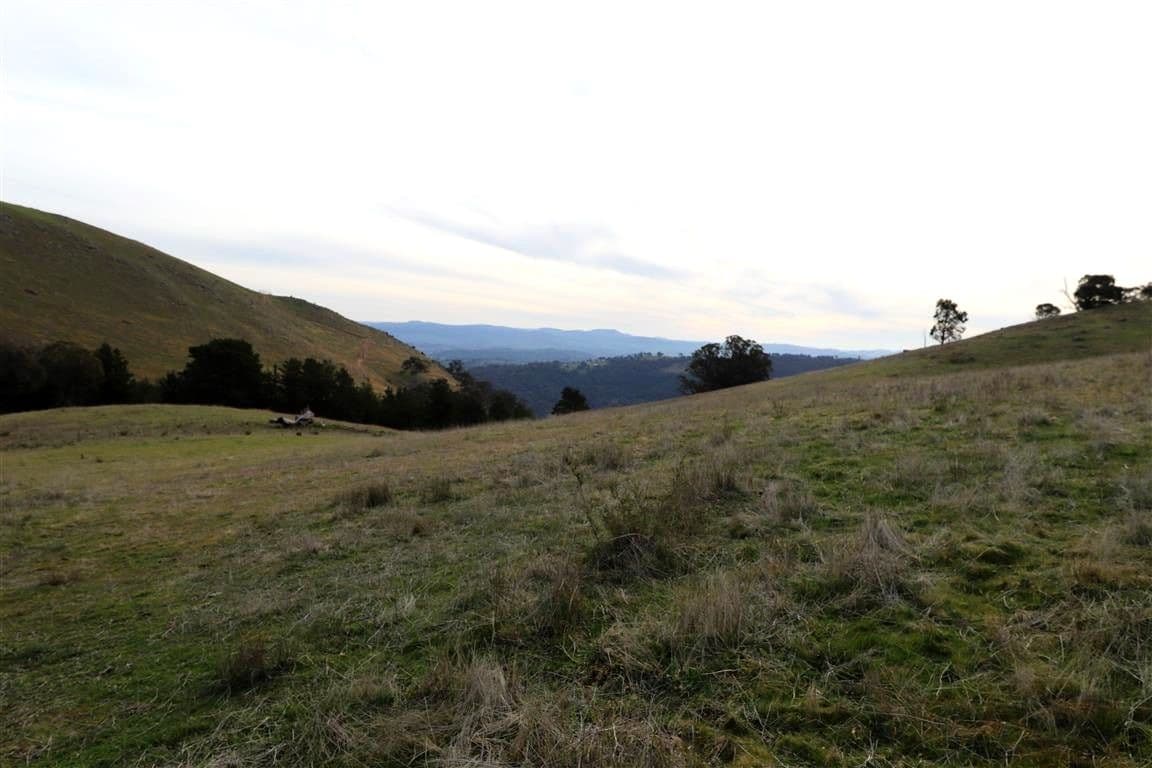 837 Argalong Road, Argalong NSW 2720, Argalong - Thumbnail 8