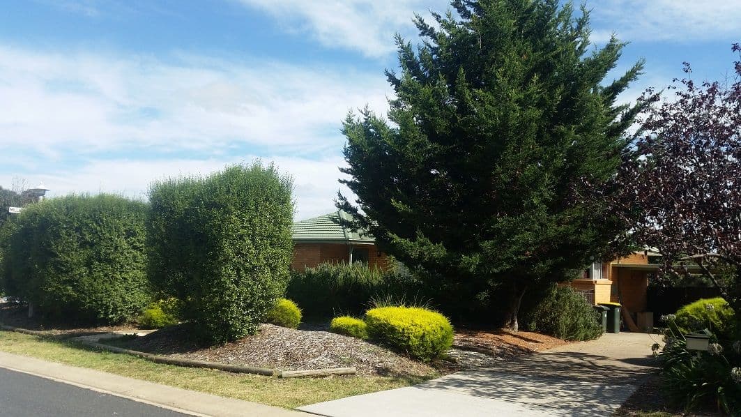 31 Wearing Street, Higgins ACT 2615, Higgins - Image 1
